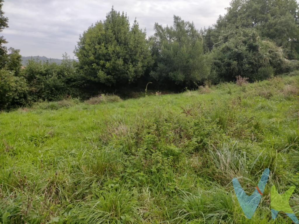 Maravilloso terreno rústico de 5.865 m² en el que podrás edificar la casa de tus sueños con espectaculares vistas al pueblo de Escobedo.A un paso de todos los servicios. Zona tranquila, rodeada de naturaleza.Muy buenas comunicaciones, a 15 minutos de Santander y a 7 minutos de la S-30.CONSULTANOS!!!