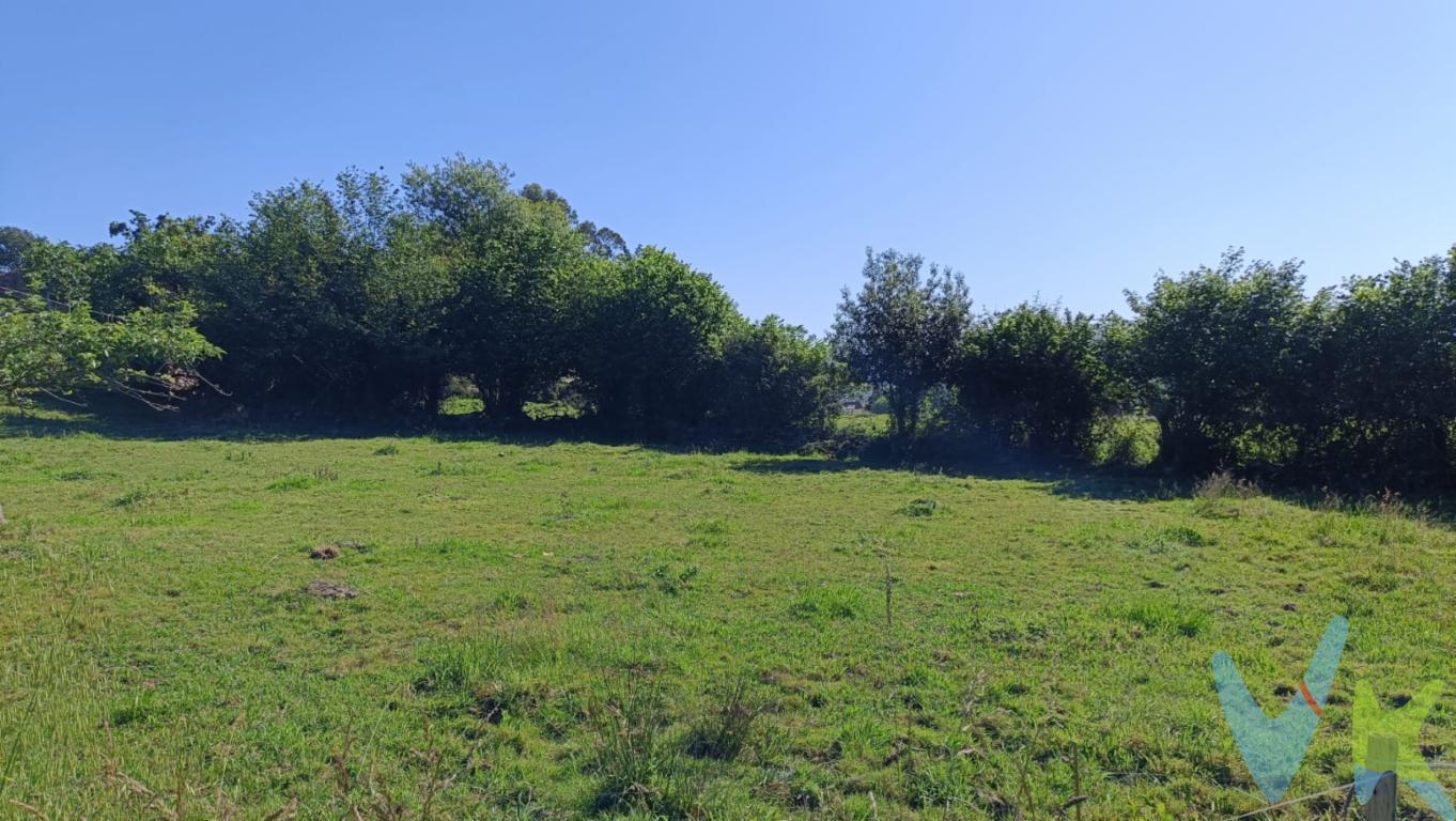 Se presenta una oportunidad en Vioño para aquellos que buscan invertir en un entorno tranquilo y con grandes posibilidades. Esta amplia finca, disponible para la venta, se despliega como un lienzo en blanco donde podrá construir la casa de sus sueños o desarrollar un proyecto personalizado. Las capacidades de construcción de esta parcela no pasan desapercibidas. Con la posibilidad de edificar hasta 430 metros cuadrados, se abre ante usted un abanico de posibilidades arquitectónicas. Ya sea que su aspiración sea una vivienda unifamiliar de generosas dimensiones, una construcción moderna con todas las comodidades contemporáneas o un proyecto que combine vivero y espacio de trabajo, esta finca lo hace posible.Características urbanísticas:- Parcela mínima: 1.000 m²- Ocupación máxima: 15%- Edificabilidad máxima: 0,20 m²/m²- Distancia mínima entre edificaciones: 6 metros- Altura máxima permitida: 7 metros (hasta 2 plantas)Retranqueos:- 5 m a colindantes para otros usos- 3 m a colindantes para viviendas- 3 m desde los viales públicosAdemás, se deberá plantar 1 árbol por cada 150 m² de superficie de parcela, lo que garantiza un entorno natural y agradable.Vioño, un área en constante crecimiento, ofrece la combinación perfecta de lo rural y lo accesible. Este acogedor entorno es ideal para quienes buscan establecerse definitivamente, criar familia o simplemente disfrutar de la naturaleza sin renunciar a las facilidades de la vida moderna. Con colegios, tiendas y servicios esenciales a corta distancia, se asegura una calidad de vida sin compromisos.Si la idea de comenzar un nuevo capítulo en un entorno con semejante potencial le emociona, le animamos a considerar esta finca. La capacidad de conectarse con la naturaleza, junto con la practicidad de las conexiones de transporte, hace de esta propiedad una combinación ganadora.No deje pasar esta oportunidad excepcional en Vioño; su nuevo camino empieza aquí.Notaria, registro e impuestos no incluidos en el precio.