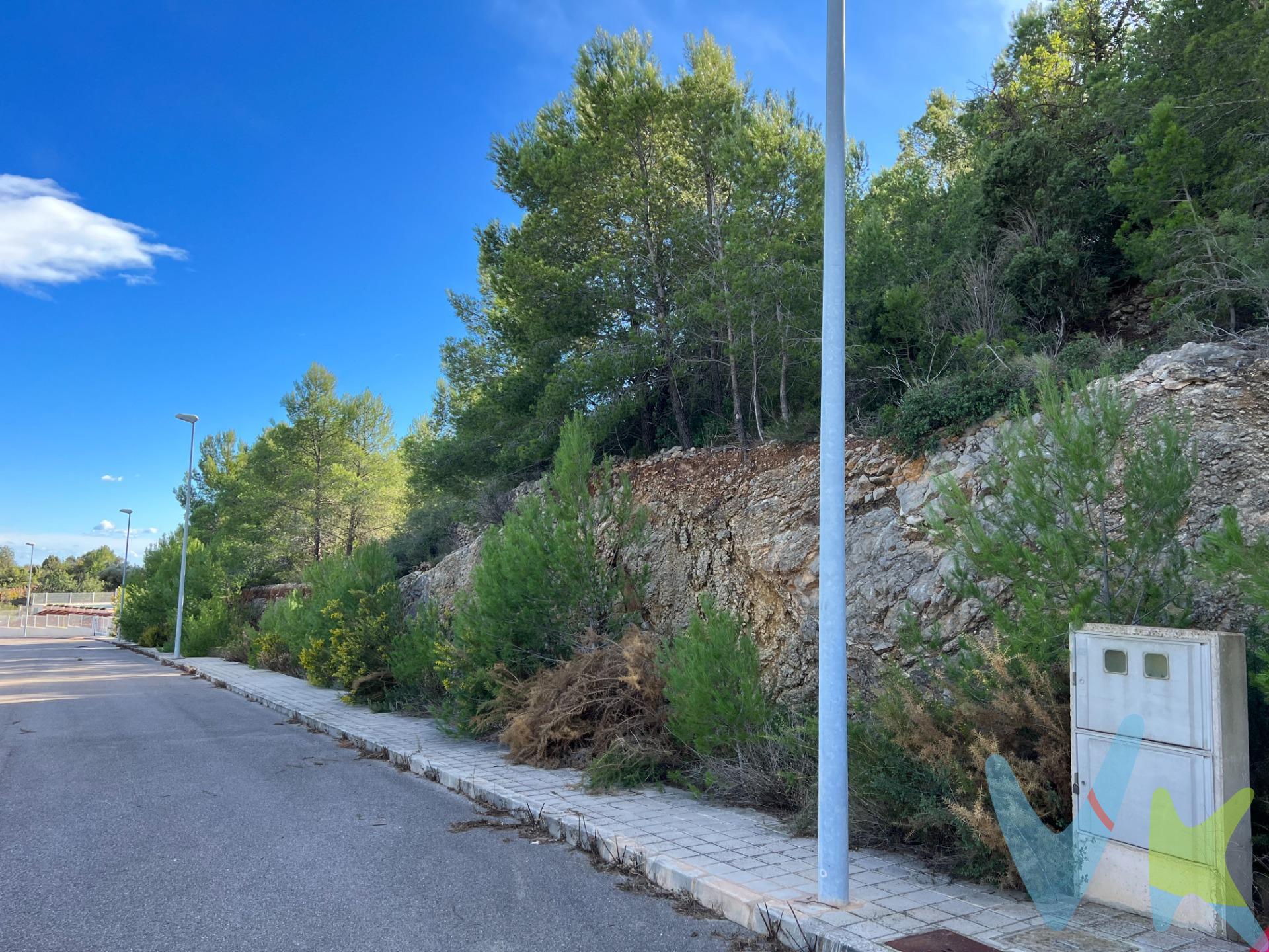 . Imaginemos una parcela de 1721 metros cuadrados ubicada en la urbanización La Coma de Borriol, con una generosa fachada de 40 metros. Dada su ubicación junto al campo de golf, y a la nueva Ciudad Deportiva del CD Castellón, la zona ofrece un entorno agradable y vistas. Además esta parcela tiene la posibilidad de doble acceso, uno por la fachada principal y otro por el fondo de parcela pues recae a un acceso hormigonado adicional. La parcela es lo suficientemente grande como para albergar una vivienda espaciosa con jardines, zonas verdes o incluso una piscina.  Podrías tener la oportunidad de diseñar una residencia que aproveche al máximo la belleza del entorno, ponemos a tu disposición a nuestro arquitecto para que dibuje tu sueño. La proximidad al campo de golf  brinda no solo la posibilidad de disfrutar de este deporte, sino también de gozar de un ambiente tranquilo y exclusivo. Además, la urbanización en sí posiblemente ofrece servicios adicionales, como áreas recreativas, seguridad, restaurantes y acceso a servicios comunitarios. Te ha gustado lo leido?, pues llámame y hablamos con más detalle.