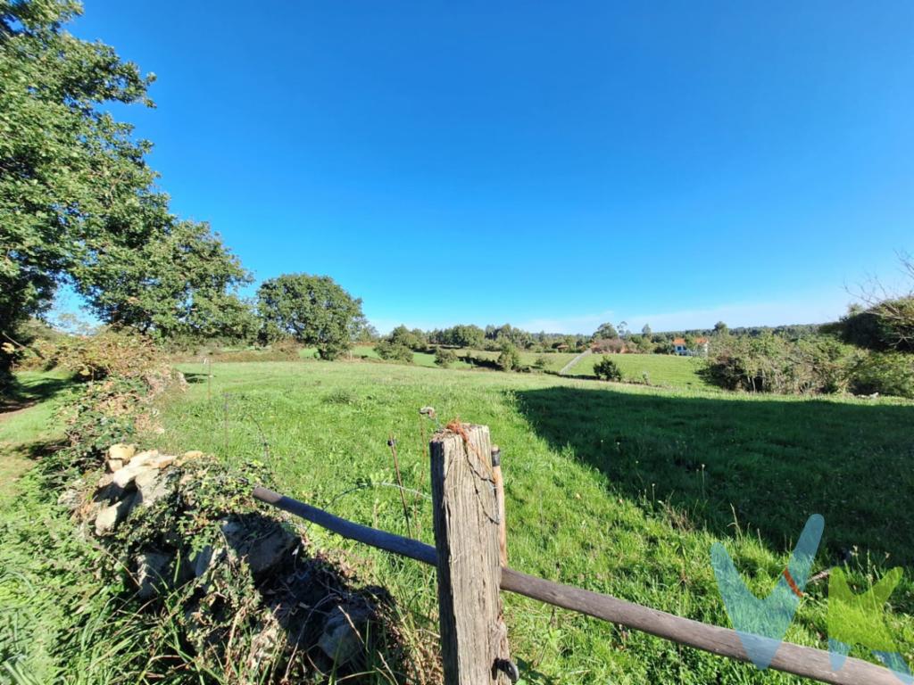 Si estás pensando en tener una segunda residencia en Asturias, deberías ver esta finca situada en el concejo de Colunga y al lado de Lastres, Selorio, Rodiles, Villaviciosa... Perfectamente comunicada por autovía con toda la región. Para ayudarte a que puedas verte disfrutando de tu tiempo libre en nuestra región, te proponemos varias opciones de vivienda, en función de tus necesidades e incluso, por el tamaño de la finca, nos da margen para dejar una parte dedicada a frutales, plantaciones, etc.. Cuenta con dos accesos y es muy soleada. En el precio del inmueble no se incluyen los gastos de Notaría, Registro e Impuestos asociados a la operación.