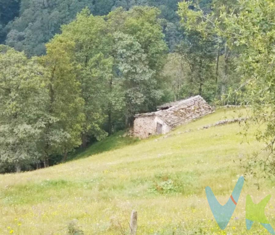 CABAÑA EN VENTA EN VEGA DE PASEn los Valles Pasiegos, en un lugar espectacular por donde hacer preciosas excursiones, cencontramos esta CABAÑA EN RUINAS PARA REHABILITAR, de ahí su magnifico precio, con casi 2 hectáreas y media de terreno y entorno espectacular.No encontrarás sitio más bonito donde crear una magnífica vivienda donde descansar, rodeado de naturaleza y silencio o dedicarla a turismo rural.El agua es de manantial, y el acceso tiene un viejo camino de herradura que se podría habilitar para vehículos y así llegar hasta la misma puerta de la cabaña. ¡¡Hay muchas cabañas, pero pocas con este precio y con estas posibilidades!!¡¡ES EL LUGAR QUE ESTABAS BUSCANDO, NO LO DUDES!! ¡¡¡LLÁMANOS!!!Se le cobrarán gastos de gestión al comprador.Los precios mostrados no incluyen impuestos, gastos de compraventa ni financiación. 