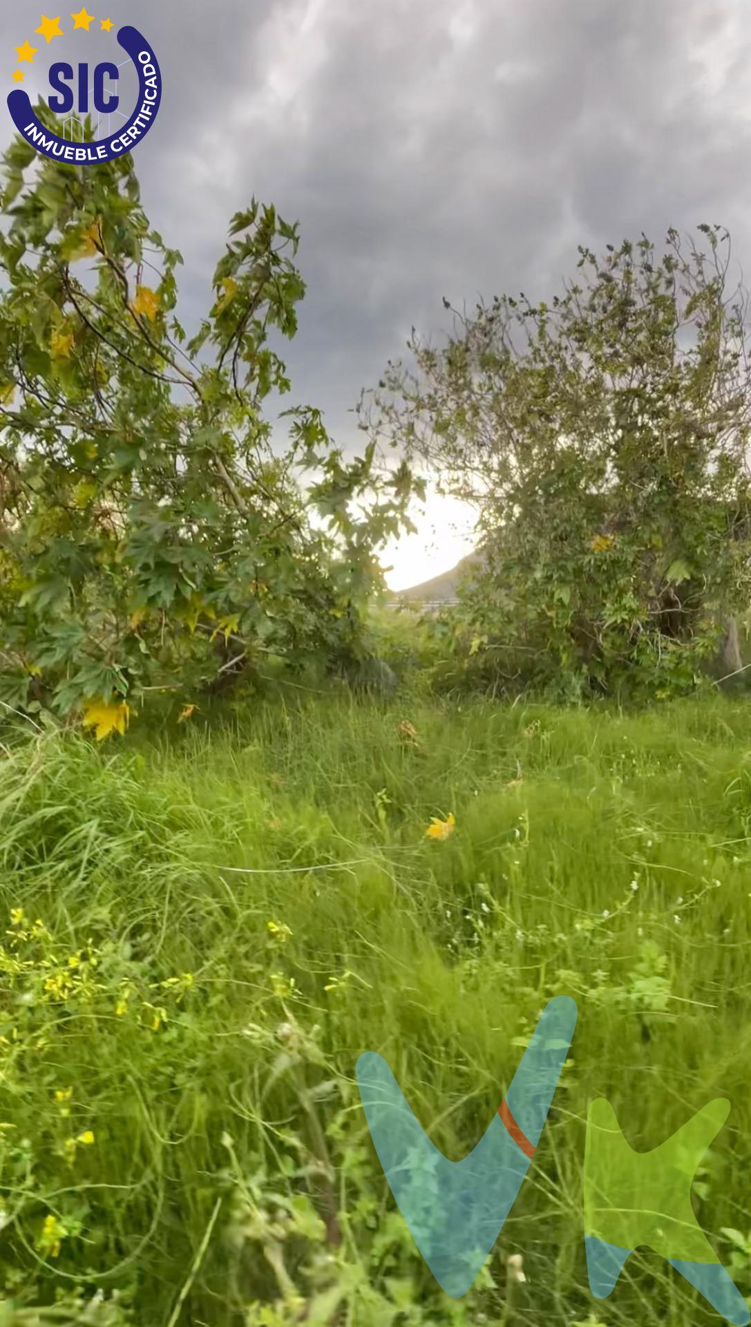 Terreno rústico en Tavernes de la Valldigna – Ideal para uso agrario. Se vende parcela rústica en la zona de El Teularet, Polígono 37, Parcela 188, en el término municipal de Tavernes de la Valldigna. •Superficie registral: 1.276 m². •Superficie catastral: 1.067 m². •Uso principal: Agrario. •Clase de terreno: Rústico. Ubicada en un entorno natural y tranquilo, esta parcela es ideal para cultivos, huerta o actividades agrícolas. Perfecta para quienes buscan un espacio en el campo con fácil acceso desde Tavernes de la Valldigna. Si te interesa o deseas más información, ¡contáctanos!. La descripción del presente inmueble e imágenes tienen mero carácter informativo y en ningún caso carácter contractual, pudiendo ser modificados por la inmobiliaria comercializadora sin que ello implique responsabilidad alguna frente a terceros. En el precio de venta a público, esta propiedad NO incluye los gastos de adquisición (Notario, registro, gestión, honorarios, etc…).