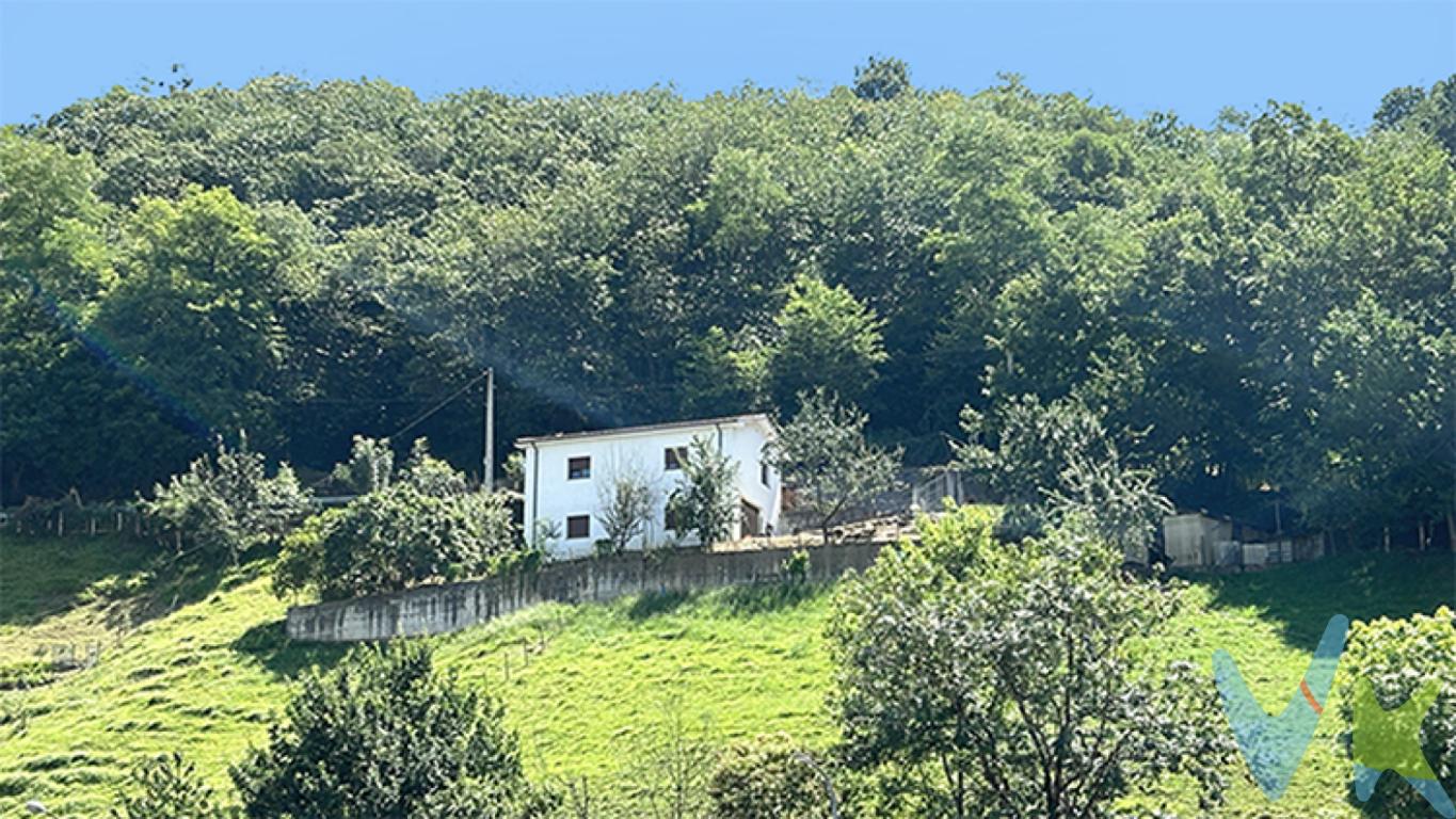 Tu nuevo finde empieza aquí: un espacio para acabar 
y mil formas de imaginarlo
Llega el fin de semana y tu escenario cambia. El ruido de la ciudad por el sonido de los pájaros, el gris asfalto por el verde monte y el estrés de la ciudad por el bienestar que proporciona de la naturaleza. En pocos minutos tu estado vital cambia a un estado de ánimo zen? Esta edificación en venta con gran parcela en Laviana, Asturias, es mucho más que una obra por acabar: es un sentido de vida, un lienzo en blanco para construir tu refugio en la naturaleza tal y como siempre soñaste.

¿Qué la hace especial?
Independiente con estructura terminada: por fuera ya está hecha, sólida y preparada. Por dentro te da la libertad de diseñar cada rincón de tu refugio a tu gusto.

Dos plantas para transformar como tú quieras:
La planta baja hoy es un garaje, pero mañana puede ser también un invernadero o esa zona de juegos a cubierto que siempre quisiste para tus peques.
La planta superior puede convertirse en un loft acogedor, con techos altos y luz natural, perfectos para tus findes en el campo
Más de 12.000 m² de finca: espacio de sobra para un huerto, una zona chill out, columpios, incluso una piscina. Y sí, tus perros (si tienes) van a ser los más felices del mundo.

Te damos unas ideas para que puedas imaginar como sería




¿Y el entorno?
Estás en Laviana, Asturias, una zona que cada vez más familias jóvenes eligen por su calidad de vida, la buena conexión con el resto de la región y los precios más accesibles. Laviana es un lugar tranquilo, rodeado de naturaleza, pero con servicios cerca y vecinos que todavía se saludan por su nombre.

¿Para quién es esta propiedad?
Para ti, si estás buscando un lugar de recreo donde descansar y retomar el contacto con la naturaleza, lejos del ruido y de las opciones de ocio siempre iguales.

Si sueñas con tener espacio, privacidad y libertad para decidir cómo debe ser tu espacio de descanso y ocio.
Si te ilusiona participar en el diseño, aprovechar el potencial del terreno, y empezar una nueva etapa con aire limpio y cielo estrellado, llámanos y ven a conocer la propiedad y Laviana.
El precio de la propiedad no incluye los gastos de impuesto de transmisiones patrimoniales, notariales ni de registro.
