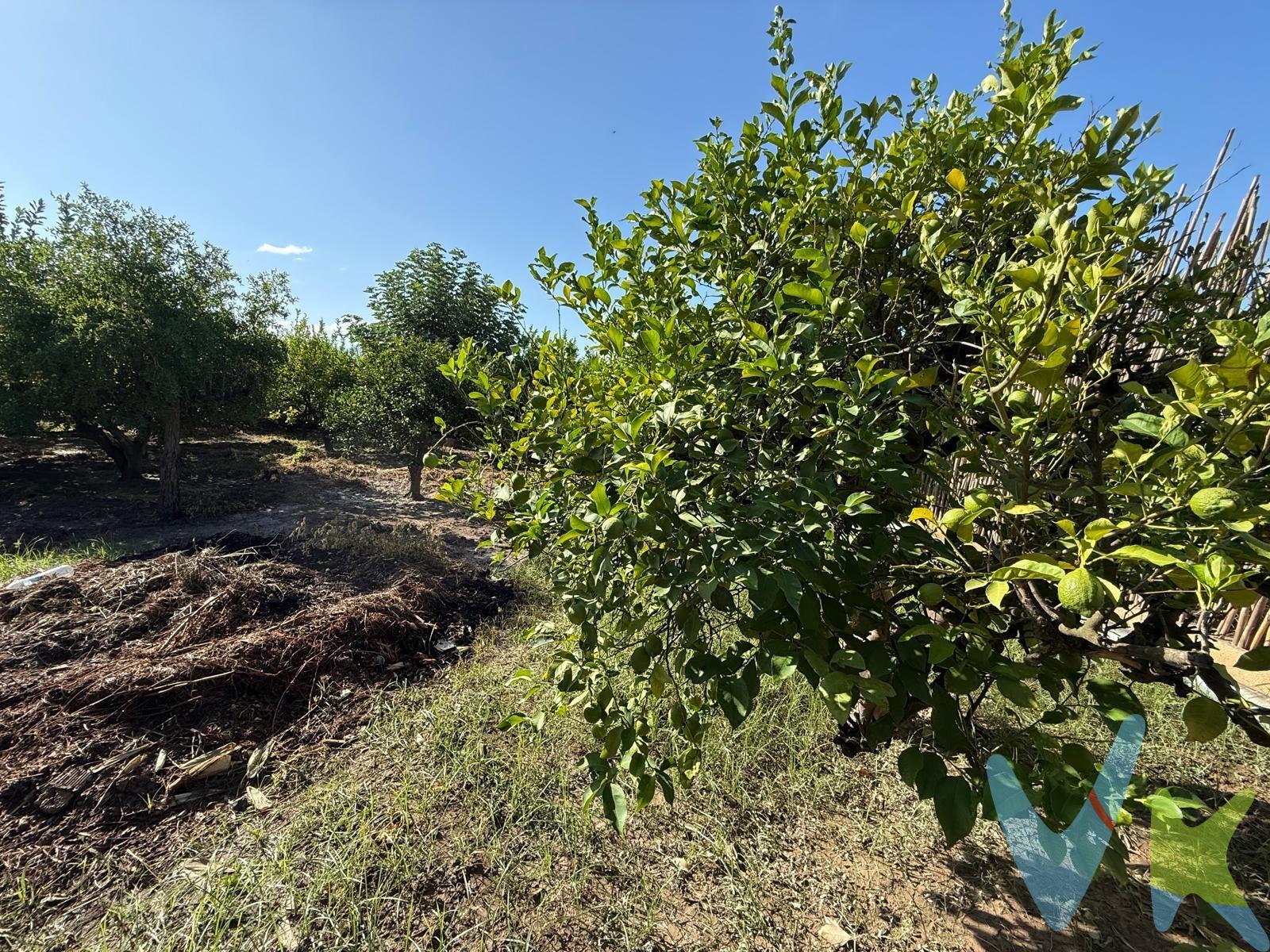 Crea el hogar que siempre has soñado.....Parcela rústica en Aljucer, a 5 minutos de Murcia, con unos 1.400 m2, con árboles frutales, buen acceso por camino de tierra y potencial para instalar una mobil home. Ideal tanto para uso recreativo como para residencia”. 🔑 Comercialización en multiexclusiva. Por mandato expreso del propietario, este inmueble se comercializa en multiexclusiva, lo que garantiza un acceso completo a la información, un servicio profesional y una gestión ordenada, sin interferencias de terceros. 🤝 Una compra tranquila y bien acompañada. Al contactar directamente con nosotros, evitarás molestias innecesarias a la propiedad. Nos encargamos de toda la intermediación, facilitándote la documentación, la información necesaria y un trato cercano, claro y sin complicaciones. Te informaremos con total transparencia de todos los aspectos de la compra, incluidos gastos y honorarios de agencia para que tomes decisiones con calma y seguridad. Calma → la tranquilidad de comprar tu vivienda con acompañamiento profesional en todo el proceso con nosotros. ℹ️ Información legal. La descripción del inmueble y las imágenes publicadas tienen carácter meramente informativo y no contractual. El precio ha sido fijado por la propiedad y podría sufrir variaciones hasta su formalización en contrato de compraventa. Te informamos de los gastos de compra no incluidos en el precio, para garantizar un proceso claro y tranquilo:. PVP. 50.000€. No incluye gastos, impuestos y demás gastos legalmente correspondan al comprador: ITP del 7,75% con carácter general; existen excepciones según normativa aplicable (1). Base imponible el mayor valor entre el precio de venta o el valor referencia catastral. Gastos Notaría y Registro: 1.900€ aprox. según complejidad y aranceles vigentes (2). Financiación: gastos de hipoteca, tasación y gatos bancarios a cargo del comprador, según su necesidad y elección. Servicio doble de intermediación: Honorarios inmobiliaria a cargo del comprador: 3% precio final, más IVA (21%), salvo acuerdo contrario tras negociación, no incluidos en PVP. Operación y condiciones de compraventa sujeta a aceptación expresa del vendedor. Para acceder a información y documentación legalmente exigible por el consumidor: https://www.inmotasa.es/consumidor/. (1) Para una información exhaustiva sobre el funcionamiento, tipos impositivos y bonificaciones del ITP en la Región de Murcia, puedes consultar el portal oficial de la Agencia Tributaria Autonómica en el siguiente enlace: agenciatributaria.carm.es/ITPAJD. (2) Tarifas notariales y registrales reguladas en Anexo I Del Real Decreto 1426/1989 y, Anexo I Del Real Decreto 1427/1989, respectivamente.