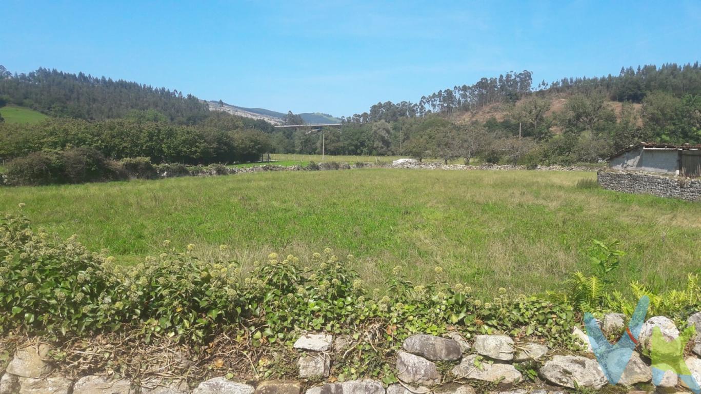 Se vende parcela Urbana en RIAÑO DE IBIO, Nº40 de 3.804m2 por 212.900Eururos. La Parcela es totalmente llana y está delimitada por un muro de piedra, está en la zona norte del barrio de Riaño; posee una edificabilidad de 1m3/m2 lo que permite construir aproximadamente 1.310m2, 7Chalets de 185m2 cada uno, de planta baja y primera. Ideal familias que deseen ejecutar dos casas grandes en la misma parcela. Para las demás condicionantes constructivos o estudio de detalle, son de aplicación los artículos del 22 al 32 de las NNSS del Ayuntamiento de Mazcuerras, las tenemos a disposición de cualquier interesado.