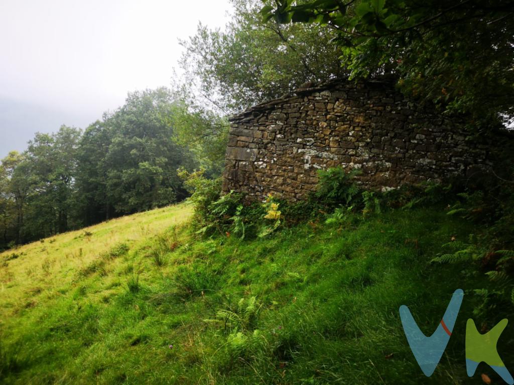 En Sutil, entre Yera y Viana, en Vega de Pas, en el corazón de los Valles Pasiegos tenemos esta maravillosa finca de más de 4 hectáreas donde se encuentran dos cabañas para rehabilitar totalmente, incluido el techo, que actualmente se encuentra derruido.Sus praderas y las zonas de bosque con más de 100 castaños pueden ser el lugar perfecto para desconectar y disfrutar de la naturaleza todavía salvaje.Dispone de agua de manantial.El acceso no es malo pero para acceder en coche hasta las cabañas habría que hacer unos 500 metros de camino.El paraje es auténticamente precioso, llámenos y le informaremos sin compromiso.Al comprador se le cobrarán gastos de gestión.Los precios mostrados no incluyen impuestos, gastos de compraventa ni financiación.