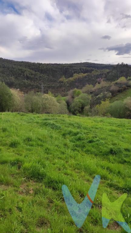 En Oruña de Piélagos, en el alto de Oruña concretamente, se vende finca urbana de 7.242 m2.  Para construcción de dos casas independientes. La finca cuenta con saneamiento, luz y agua próximo, está rodeada de bosque, zonas verdes y zona residencial. Cerca de la nacional Santander Torrelavega, a escasos minutos de la autovía A67, estación de tren de Mogro, y justo en mitad de camino entre Santander y Torrelavega. Les ofrecemos una finca con mucha posibilidades, llámenos para más información y visitarla.