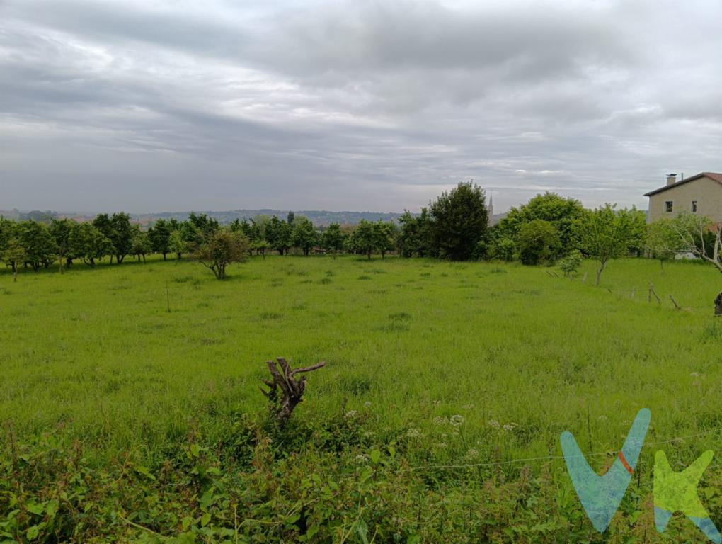 ¡Oportunidad única en Castiello! Construye la vida que siempre soñaste en este entorno natural privilegiado.Si buscas el equilibrio entre la serenidad del campo y la cercanía urbana, esta finca edificable es tu mejor inversión. Un lienzo en blanco en la zona más exclusiva, ideal para quienes priorizan la calidad de vida.Características destacadas:Diseña un hogar a tu medida en un entorno próspero y saludable.¿Tienes la visión? Nosotros tenemos el lugar. Contacta ahora y solicita tu visita. ¡Tu futuro empieza aquí!Entorno ideal: Comunidad acogedora, cerca de colegios y servicios esenciales.Ubicación estratégica: Privacidad total con transporte público cercano y excelentes conexiones.Servicios listos: Con infraestructura de agua, luz y saneamiento.Gran edificabilidad: Parcela amplia para construir hasta 300 m². ¡Espacio para vivienda, jardín y piscina!Gastos e impuestos no incluidos en el precio. A título orientativo, en segundas transmisiones, el comprador abonará el Impuesto sobre Transmisiones Patrimoniales (ITP). Para consultar los porcentajes del ITP en Asturias puede hacerlo a través de la web oficial de servicios tributarios del Principado de Asturias https://sede.tributasenasturias.es/sites/sede/default/es_ES/Que-quieres-hacer/Transmisiones-Patrimoniales-y-AJD. La base imponible será el mayor valor entre precio de compraventa, tasación o valor de referencia catastral. Gastos de notaría y registro según aranceles variables según precio, número de copias y complejidad.El comprador escoge libremente notario. El vendedor asume la plusvalía y el resto de gastos son del comprador. Si se precisa hipoteca: Tasación, condiciones y costes bancarios según entidad elegida por el comprador; así como los gastos de gestoría y cualesquiera otros inherentes a la formalización de la compraventa. De acuerdo con la ley, no se incluyen en el precio otros gastos o tributos que legalmente correspondan al comprador. Honorarios de intermediación inmobiliaria a cargo del vendedor y honorarios de mediación inmobiliaria del 2% más I.V.A. con un mínimo de 2.000 + IVA a cargo del comprador.El consumidor tiene derecho, conforme a la normativa vigente, a disponer de información y documentación adicional relativa al inmueble y condiciones de la compraventa, accesible en la sede física o mediante correo electrónico de la Agencia cuyos datos de contacto aparecen en la página web. La agencia actúa exclusivamente como intermediaria en la operación. Cualquier compraventa y sus condiciones quedan sujetas en todo caso a la aceptación expresa del vendedor del inmueble y a la posterior formalización del correspondiente contrato. El presente anuncio tiene carácter meramente informativo; la información suministrada se corresponde con la disponible a la fecha de publicación, pudiendo variar en función de las circunstancias o actualizaciones legales, contractuales y fiscales.