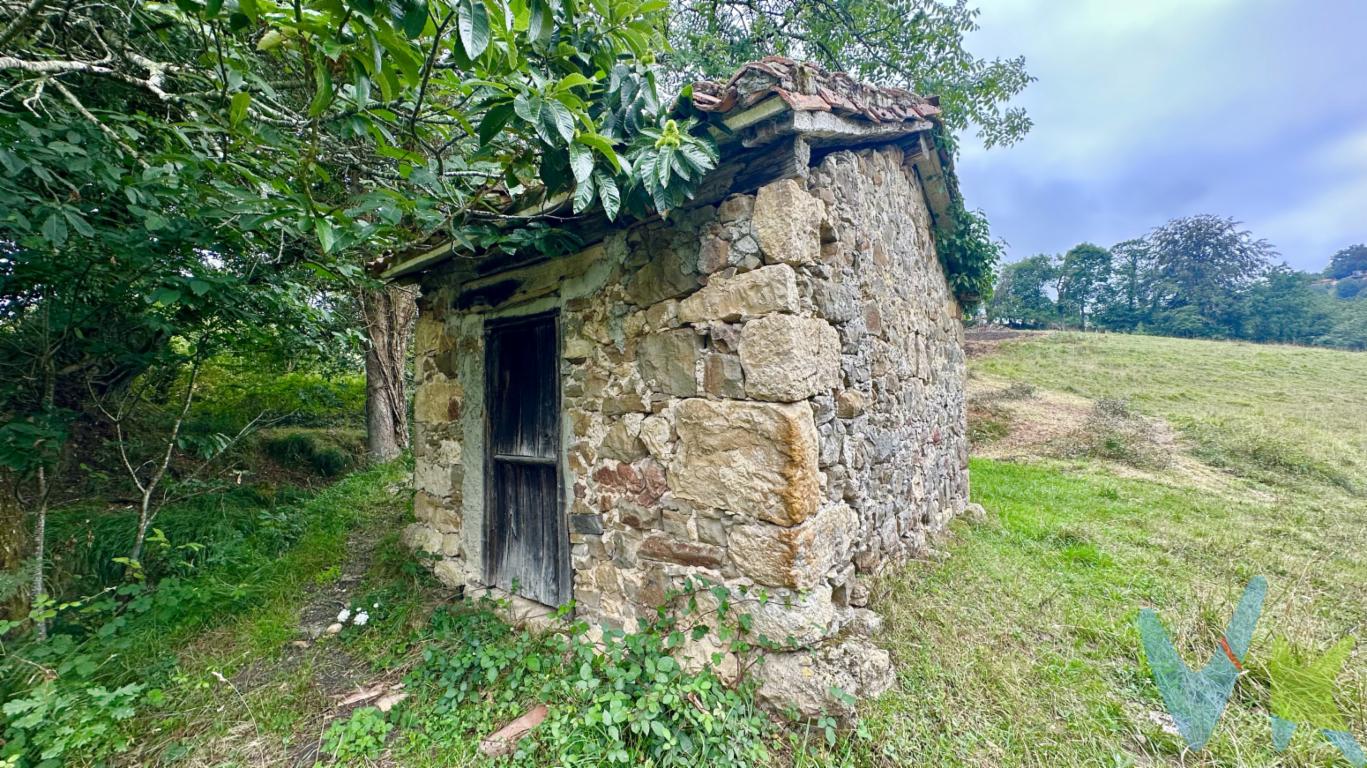 Parcela rústica de más de 24.000 m² en Torazo (Cabranes)Magnífica finca rústica de más de 24.000 m², situada a solo 200 metros del centro de Torazo, en el concejo de Cabranes, uno de los rincones más auténticos y bellos de Asturias.La propiedad dispone de una pequeña construcción tradicional de piedra, fuente propia y ofrece espectaculares vistas panorámicas al paisaje asturiano. El acceso se realiza por camino no asfaltado.Un entorno privilegiado, rodeado de naturaleza y tranquilidad, ideal para quienes buscan una finca con encanto y gran potencial en pleno corazón de la Comarca de la Sidra.Gastos e impuestos no incluidos en el precio. A título orientativo, en segundas transmisiones, el comprador abonará el Impuesto sobre Transmisiones Patrimoniales (ITP). Para consultar los porcentajes del ITP en Asturias puede hacerlo a través de la web oficial de servicios tributarios del Principado de Asturias https://sede.tributasenasturias.es/sites/sede/default/es_ES/Que-quieres-hacer/Transmisiones-Patrimoniales-y-AJD. La base imponible será el mayor valor entre precio de compraventa, tasación o valor de referencia catastral. Gastos de notaría y registro aranceles variables según precio, número de copias y complejidad). El comprador escoge libremente notario. El vendedor asume, por ley, los gastos que le correspondan, salvo pacto en contrario. Si se precisa hipoteca: Tasación, condiciones y costes bancarios según entidad elegida por el comprador; así como los gastos de gestoría y cualesquiera otros inherentes a la formalización de la compraventa. De acuerdo con la ley, no se incluyen en el precio otros gastos o tributos que legalmente correspondan al comprador.Honorarios de intermediación inmobiliaria a cargo del vendedor y honorarios de mediación inmobiliaria del 2.000 más I.V.A. a cargo del comprador. El consumidor tiene derecho, conforme a la normativa vigente, a disponer de información y documentación adicional relativa al inmueble y condiciones de la compraventa, accesible en la sede física de la agencia en la calle Corín Tellado 1 bajo de Gijón o a través del correo electrónico info@tufincagestion.com. La agencia actúa exclusivamente como intermediaria en la operación. Cualquier compraventa y sus condiciones quedan sujetas en todo caso a la aceptación expresa del vendedor del inmueble y a la posterior formalización del correspondiente contrato. El presente anuncio tiene carácter meramente informativo; la información suministrada se corresponde con la disponible a la fecha de publicación, pudiendo variar en función de las circunstancias o actualizaciones legales, contractuales y fiscales.