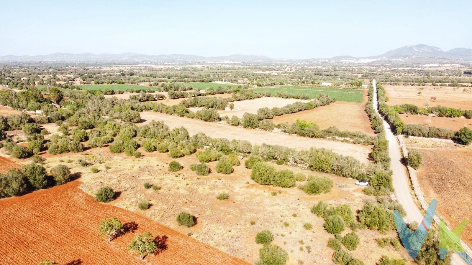 ¡Hola! Deja que te presente esta preciosa finca rústica, situada entre Porreres y Felanitx de 15320 m2. Tiene proyecto de una vivienda caducado de 2003 que se podría reanudar. Planos y toda la documentación disponible. Posibilidad de poner luz de GESA cerca con autorización firmada por los vecinos para pasar el cableado por sus fincas. Terreno vallado por 3 de los 4 lados que forman el terreno con muro de piedra seca. Se permite edificar una vivienda de 228 m2 y una ocupación total de 304 m2.  . Vistas muy despejadas y bonitas, se puede ver el Puig de San Salvador y naturaleza sin cableado ni torres eléctricas alrededor, camino asfaltado hasta la finca. . Aprovéchate de esta oportunidad y construye la casa de tus sueños. Ven a verla tu mismo, te encantará. . Este inmueble ha sido certificado por ABSI (Asociación Balear de Servicios Inmobiliarios) lo que significa que la agencia comercializadora ha supervisado la documentación necesaria para la compraventa y que el inmueble forma parte de la bolsa de propiedades en multiexclusiva ABSI. Inmobiliaria Inscrita en el Registre Oficial d’Agents Immobiliaris de les Illes Balears con el NÚMERO REGISTRO: GOIBE747077/2024