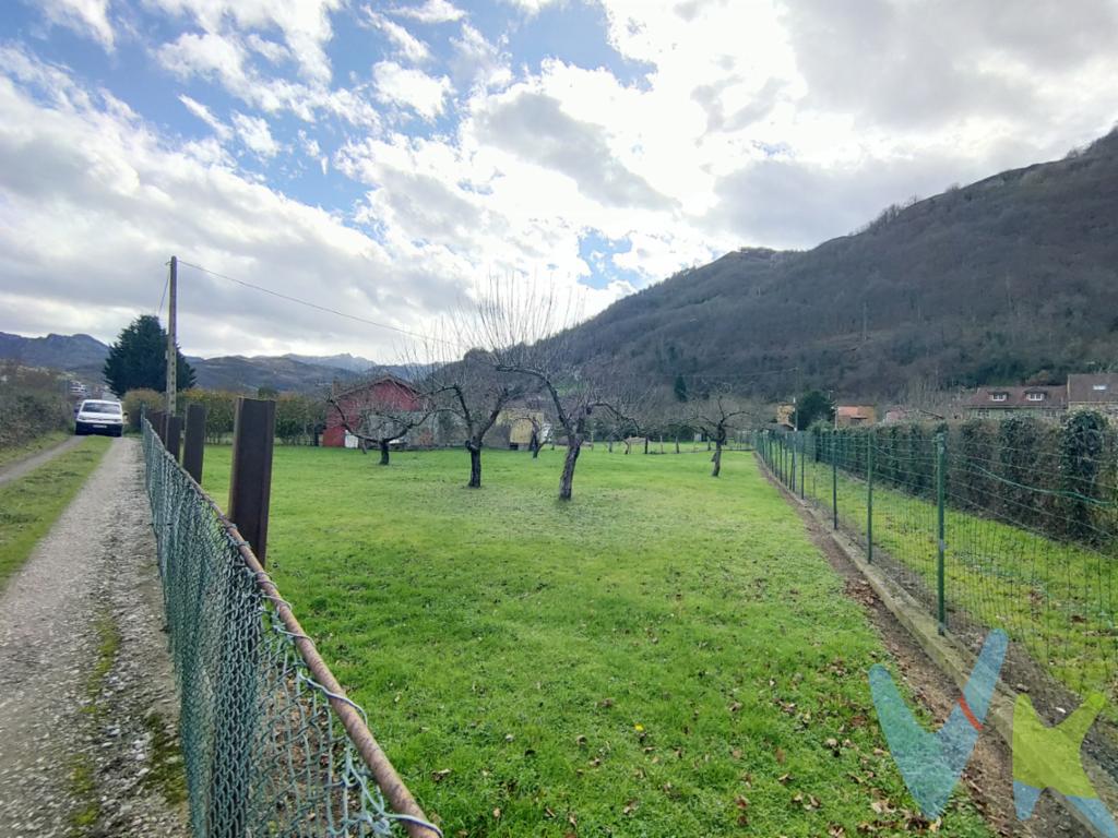 Se vende finca de 763 m², totalmente llana, situada en un entorno tranquilo, a pocos minutos de Pola de Laviana, con acceso en coche hasta la propia finca.

Se trata de un terreno no edificable, ideal para quienes buscan un espacio donde desconectar y disfrutar del fin de semana, rodeado de naturaleza, sin renunciar a una buena accesibilidad y cercanía a servicios.

Su topografía completamente plana permite un uso cómodo y práctico: ocio al aire libre, huerto, zona de descanso, comidas familiares o actividades recreativas, sin necesidad de realizar movimientos de tierra ni obras previas.

Una finca manejable, bien ubicada y perfecta como refugio de fin de semana, para disfrutarla desde el primer día con total claridad jurídica.