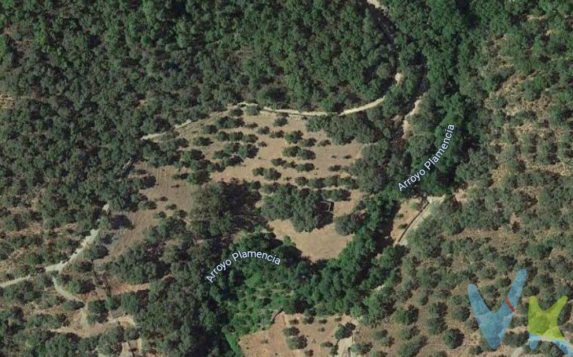 Finca en Linares de la Sierra – Tu refugio en el corazón del Parque Natural Sierra de Aracena y Picos de Aroche.

Imagina despertar cada día en un paraíso natural, rodeado de calles empedradas llenas de historia, el murmullo de fuentes que nacen de manantiales y un paisaje donde el tiempo parece detenerse.

Esta finca de 20.815 m² es mucho más que tierra: es un sueño hecho realidad para quienes anhelan una vida en armonía con la naturaleza.

Con acceso directo al Arroyo Plamencia, que fluye todo el año y en invierno multiplica por cuatro su caudal, tendrás agua y vida garantizadas.

La propiedad está completamente vallada y cuenta con un camino privado y cancela de acceso.

Su casa monte de 51 m² ofrece todo el encanto rústico y la posibilidad de transformarla en una acogedora casa de campo. Dispone de zona de viña, espacio para huerto y para instalar placas solares, la combinación perfecta para una vida autosuficiente.

🌳 Ubicada en el corazón de Linares de la Sierra, un pueblo con alma, donde las tradiciones centenarias siguen vivas y cada rincón respira autenticidad.

Aquí podrás cultivar, criar, soñar… y vivir sin prisas, con la serenidad que solo da la montaña.

Aclaración Legal Importante para el Comprador:
Dada su ubicación en el Parque Natural Sierra de Aracena y Picos de Aroche, esta finca está sujeta a la normativa específica del área protegida. El uso y las actividades a desarrollar se acogen al Plan Rector de uso y Gestión PRUG del parque natural.
Para cualquier proyecto de construcción, reforma o cambio de uso que se deseé realizar en la finca, es imprescindible y obligatorio acudir y consultar previamente al Ayuntamiento de Fuenteheridos, que determinará la viabilidad y los requisitos según la legislación vigente del parque.
Recomendación: Aconsejamos a los futuros compradores consultar el PRUG y contactar con el ayuntamiento para confirmar la viabilidad de su proyecto antes de la adquisición.

¿Es español o extranjero y necesita financiación para poder comprarla? Le ayudamos a conseguirla con las mejores condiciones del mercado. 

¿Busca una casa de campo pero su estilo es otro? Contacte con nosotros, seguro que tenemos la casa de tus sueños en Huelva, Sevilla, Cádiz y el resto de Andalucía. 

Tenemos más de 20 años ayudando a personas a comprar o vender sus propiedades. 

Informamos a nuestros clientes que el precio de venta no incluye lo siguiente: Honorarios de la agencia inmobiliaria, impuestos (el Impuesto de Transmisiones Patrimoniales, IVA o AJD, en su caso), otros gastos de la compraventa (gastos de registro de la Propiedad, Notaría, gestión ni de posible financiación). Documento DIA a disposición del consumidor según Decreto 218/2005 Junta de Andalucía. IMG.

