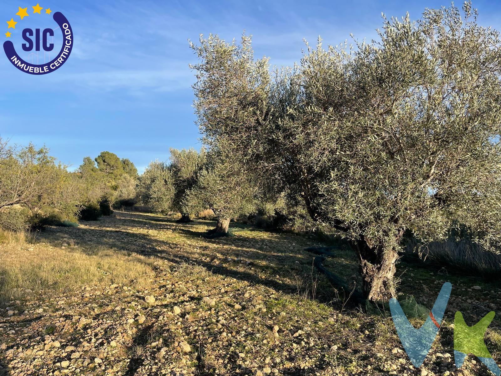 Se ofrece parcela rústica urbanizable, en Macastre, ubicada en la Partida La Corredora, en un entorno natural y tranquilo, ideal para quienes desean vivir rodeados de naturaleza sin renunciar a la cercanía de todos los servicios. La parcela cuenta con una superficie de 14.003 m2 y disfruta de sol durante todo el día, lo que la convierte en un lugar perfecto para proyectar y construir tu vivienda desde cero, adaptada a tus gustos y necesidades. Dispone de acceso directo y cómodo desde la carretera CV-425, lo que garantiza una excelente comunicación. A tan solo 10 minutos en coche se encuentra el núcleo urbano de Macastre, donde podrás encontrar todo tipo de comercio local, supermercados, colegios, centro de salud, cafeterías y restaurantes. Una ubicación ideal para quienes buscan tranquilidad, privacidad y calidad de vida, con la ventaja de estar bien conectados y cerca del pueblo. Una oportunidad perfecta para crear el hogar que siempre has imaginado. VENTA:. PVP 120.000€.  Gastos e impuestos no incluidos en el precio. La compra conlleva impuestos y gastos de formalización para el comprador. A título orientativo se informa que en segundas transmisiones el  ITP  con carácter general en  Valencia  es del  10%, pudiendo existir otros tipos impositivos atendiendo a  las circunstancias  personales del comprador u otras circunstancias previstas legalmente. Base imponible del impuesto el mayor valor entre el precio de compraventa, la tasación o el valor de referencia catastral. En cuanto a los gastos de  notaría y registro, en su caso,  suelen oscilar aprox; entre 1,5% y 2,5% (aranceles variables según precio, n.º de copias y complejidad). El comprador elige notario. Si el comprador precisase de  hipoteca: tasación, condiciones y costes bancarios serán según entidad elegida por el comprador, así como los gastos de gestoría, y cualesquiera otros gastos inherentes a la formalización de la compraventa que legalmente correspondan a la parte compradora, salvo pacto expreso en contrario con el vendedor. El consumidor tiene,  conforme a la normativa vigente, a su disposición información y documentación adicional relativa al inmueble y condiciones de la compraventa, que podrá ser consultada en C/Joaquín Costa 4, bajo 46005 Valencia o urbe2@remax.es. Honorarios de mediación inmobiliaria a cargo del  COMPRADOR: (3% del precio final de venta más IVA (21%), salvo otro pacto.); y  de VENDEDOR (según acuerdo con el mismo). . Se informa al consumidor que la agencia actúa como intermediaria inmobiliaria en la operación, estando cualquier eventual compraventa y sus condiciones sujeta a la aceptación expresa del propietario-vendedor y a la posterior formalización del correspondiente contrato.