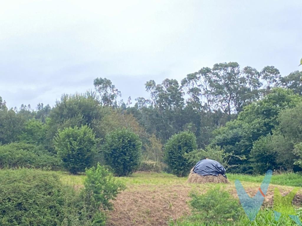 ¿Buscas finca en un entorno rural y tranquilo? Pues a tan solo unos 3 kilómetros de Cartes, te ofrecemos esta bonita finca urbana y totalmente llana donde podrás construir tu futura vivienda.Además tiene todos los servicios a pie de finca.No esperes más y ven a verla!!!!!