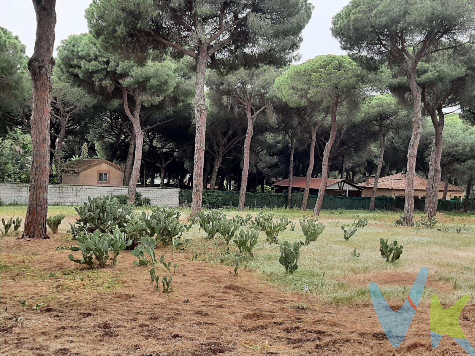 Amplia parcela de 2.750 m² en Pinar de Coig, El Puerto de Santa María, en un entorno tranquilo y rodeado de naturaleza. La parcela destaca por su abundante arbolado, principalmente pinos de gran porte, que se distribuyen por todo el terreno creando un entorno natural, agradable y con mucha sombra. Cuenta con diferentes zonas despejadas entre los árboles, lo que permite disfrutar de un amplio espacio exterior y ofrece múltiples posibilidades para crear diferentes ambientes. El terreno presenta una configuración prácticamente llana y se encuentra integrado en un entorno de carácter residencial y natural, proporcionando una agradable sensación de privacidad y tranquilidad. Dispone además de agua de pozo, un recurso muy interesante para el mantenimiento del terreno y sus zonas ajardinadas. Una parcela con una superficie difícil de encontrar, ideal para quienes buscan espacio, naturaleza y tranquilidad, sin renunciar a la cercanía de El Puerto de Santa María. Un lugar con muchas posibilidades para diseñar y disfrutar de un amplio espacio exterior adaptado a las necesidades de cada propietario.