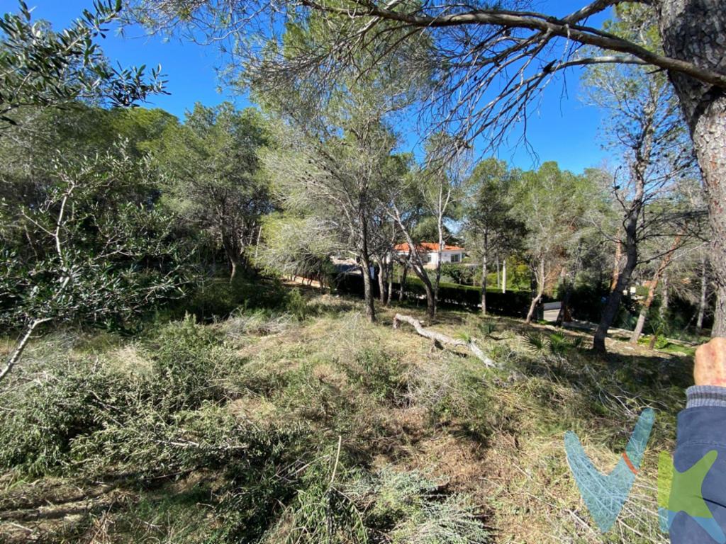 ¿Buscas amplitud, exclusividad y un entorno natural sin renunciar a la seguridad de una urbanización consolidada?. Presentamos esta magnífica parcela de 2.096 m2 situada en la prestigiosa Urbanización El Pinar, un enclave privilegiado rodeado de naturaleza y con todos los servicios deportivos y sociales a tu alcance. Características Principales. Superficie: 2.096 m2 de terreno con grandes posibilidades. Estado Urbanístico: Suelo urbano. Actualmente, la concesión de licencias de obra está vinculada a la finalización del proyecto de alcantarillado (actualmente en fase de estudio por las autoridades pertinentes) para la eliminación definitiva de fosas sépticas. Entorno: Zona residencial tranquila, habitada durante todo el año y con excelente vecindad. Instalaciones y Club Social. Vivir en El Pinar es sinónimo de calidad de vida. La urbanización cuenta con unas instalaciones comunes excepcionales:. Club Social: Un punto de encuentro exclusivo para los vecinos. Deporte: Pistas de tenis, frontón y campo de futbito. Zonas Verdes: Áreas comunes cuidadas para el disfrute familiar. Nota Importante: Al adquirir la parcela, el comprador entra a formar parte de la copropiedad de todas las instalaciones comunes y edificios de la urbanización (Club Social, etc.). Para formalizar esta titularidad y el acceso a los servicios, se requiere una aportación inicial de 6.000 €. ¿Por qué esta parcela?. Es la opción ideal para inversores que deseen posicionarse en una de las urbanizaciones con más potencial de Picassent antes de que la nueva infraestructura de saneamiento revalorice significativamente los precios de la zona. ¡No dejes pasar esta oportunidad de construir tu futuro en El Pinar!. Para más información o concertar una visita, contacta con nosotros. VENTA:. PVP 99.900€. Gastos e impuestos no incluidos en el precio. La compra conlleva impuestos y gastos de formalización para el comprador. A título orientativo se informa que en segundas transmisiones el ITP con carácter general en Valencia es del 10%, pudiendo existir otros tipos impositivos atendiendo a las circunstancias personales del comprador u otras circunstancias previstas legalmente. Base imponible del impuesto el mayor valor entre el precio de compraventa, la tasación o el valor de referencia catastral. En cuanto a los gastos de notaría y registro, en su caso, suelen oscilar aprox; entre 1,5% y 2,5% (aranceles variables según precio, n.o de copias y complejidad). El comprador elige notario. Si el comprador precisase de hipoteca: tasación, condiciones y costes bancarios serán según entidad elegida por el comprador, así como los gastos de gestoría, y cualesquiera otros gastos inherentes a la formalización de la compraventa que legalmente correspondan a la parte compradora, salvo pacto expreso en contrario con el vendedor. El consumidor tiene, conforme a la normativa vigente, a su disposición información y documentación adicional relativa al inmueble y condiciones de la compraventa, que podrá ser consultada en C/Joaquín Costa 4, bajo 46005 Valencia o urbe2@remax.es. Honorarios de mediación inmobiliaria a cargo del COMPRADOR: (3% del precio final de venta más IVA (21%), salvo otro pacto.); y de VENDEDOR (según acuerdo con el mismo). Se informa al consumidor que la agencia actúa como intermediaria inmobiliaria en la operación, estando cualquier eventual compraventa y sus condiciones sujeta a la aceptación expresa del propietario-vendedor y a la posterior formalización del correspondiente contrato.