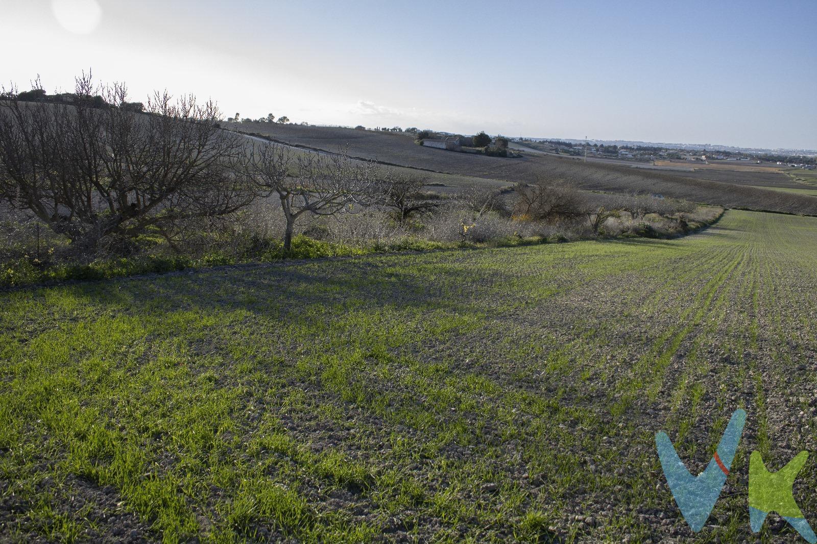 Se vende parcela rústica segregada, de 2.484 m², situada en la tranquila y conocida zona de La Canaleta, en El Marquesado. 🔸 Uso agrario. 🔸 Apta para labor o labrío de secano. 🔸 Terreno ideal para cultivo, aprovechamiento agrícola o inversión rústica. La parcela se encuentra en un entorno rural, con buen acceso y en una zona tradicionalmente agrícola, perfecta para quienes buscan trabajar la tierra o disponer de un terreno rústico en un entorno natural. 📍 Superficie: 2.484 m². 📍 Ubicación: La Canaleta – El Marquesado. Para más información o interés, no dudes en contactarnos. De acuerdo con lo prevenido en el Decreto 218/2005, de 11 de octubre, se informa al cliente que los Gastos Notariales, Registrales, impuesto de transmisiones (ITP), Honorarios de intermediación, Gastos financieros, y otros gastos inherentes a la compraventa no están incluidos en el precio. Disponemos del Documento Informativo Abreviado de la propiedad (D. I. A), según Decreto 218/2005, de 11 de octubre. La Agencia Inmobiliaria también dispone de Seguro de Caución, para la garantía y protección de las cantidades económicas entregadas como señal para la reserva. 