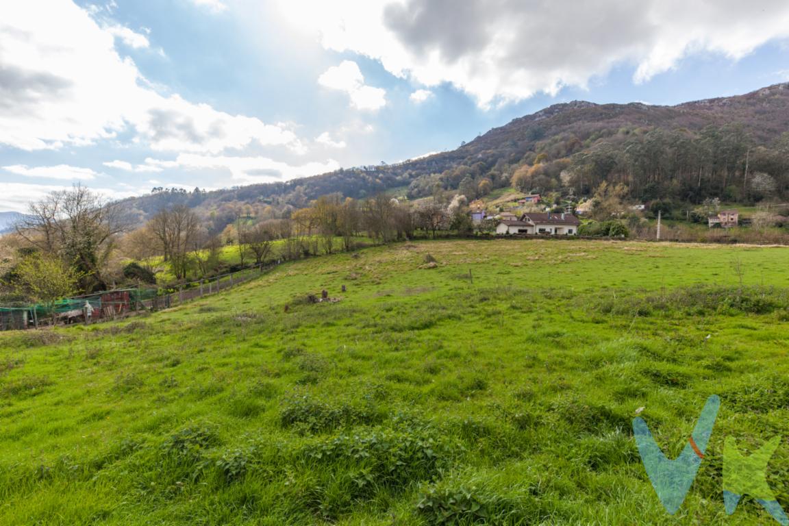 Iniciamos la venta de esta maravillosa finca de 5.886 m2, donde se puede parcelar en 2 fincas, una de 1250 m2 y otra de 4.636 m2.Se puede construir en cada finca una casa de 300 m2, con luz, agua y saneamiento a pie de finca.Zona de Tellego, zona tranquila, y al lado de Oviedo Venga a visitarla