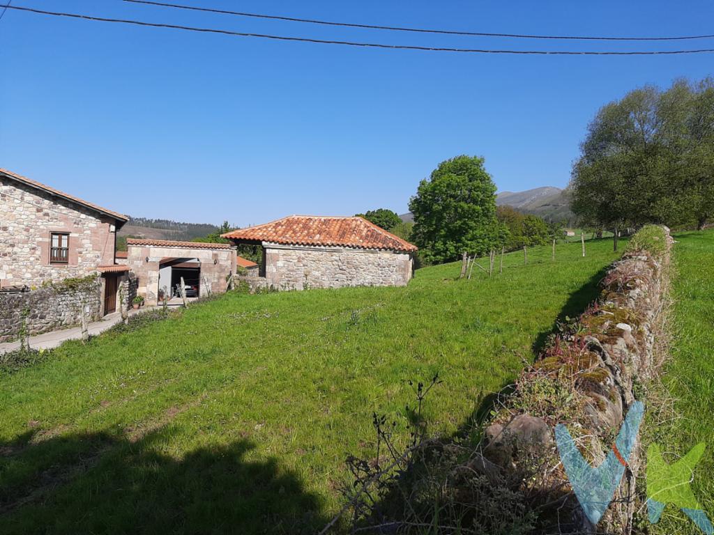 Se vende parcela Urbana en Luzmela, Nº1036 de 1.888M2 por 109.000Euros. La Parcela tiene una ligera pendiente y una ermita dedicada a San Juan en propiedad. Está delimitada por un muro de piedra, está en el centro del pueblo,  Ideal familias que deseen ejecutar dos casas grandes en la misma parcela o bien segregar 500m2, quedarse con aprox 1.300m2  y recuperar parte de inversión. Son de aplicación los artículos del 22 al 32 de las NNSS del Ayuntamiento de Mazcuerras.