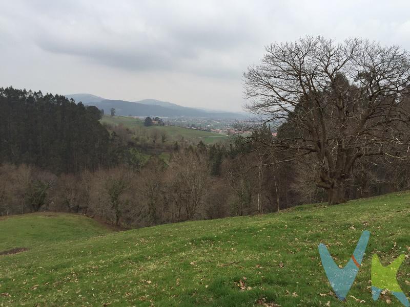 Preciosa finca rústica de gran extensión, en el Alto de Santibáñez, próxima a Cabezón de la Sal. En ella hay construída una cabaña de piedra, para rehabilitar, de unos 60m2 por planta, de la cual se conservan las paredes en bastante buen estado. La finca, al ser tan extensa, tiene zonas llanas y otras en algo de pendiente. También tiene zona arbolada, e incluso pasa un riachuelo por uno de sus laterales. Se puede acceder a ella en coche. Magníficas vistas a todo el valle de Cabezón de la Sal. Si quiere tener un refugio donde descansar y disfrutar de la naturaleza, y además, cercano a los servicios, sin duda, ésta es su mejor oportunidad.