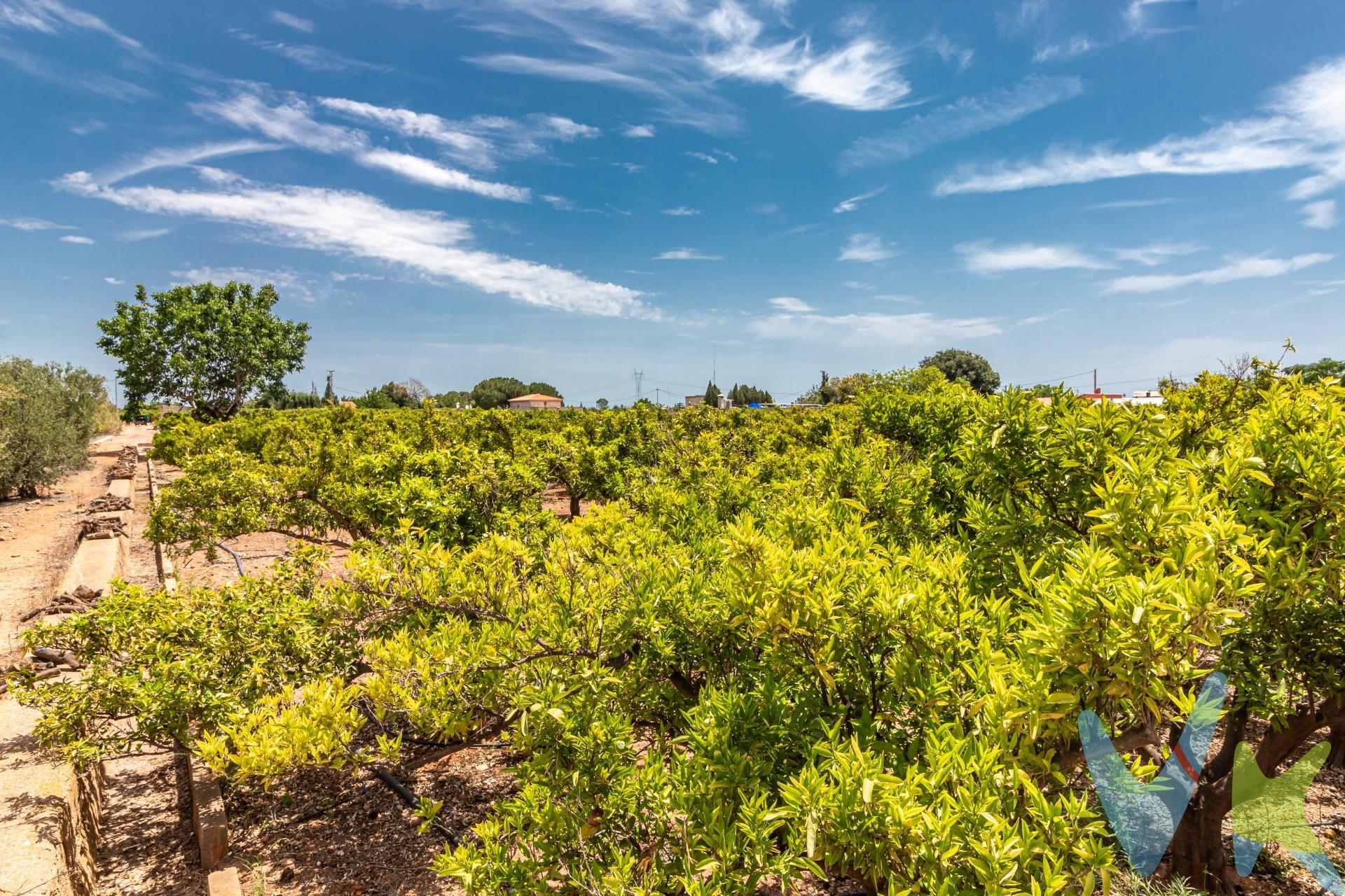 Se vende terreno no urbano situado en la zona de Partida Pinella, Vila-real. El terreno cuenta con una superficie total de 11400m². El terreno dispone de agua a través de una balsa que se llena de agua que proviene del pozo El Mijares del que le corresponden 13,5 acciones y conexión eléctrica rural, brindando las comodidades necesarias para su uso o desarrollo futuro. Este espacio ofrece múltiples posibilidades tanto para particulares como inversores interesados en desarrollar proyectos rurales o agrícolas. Su ubicación estratégica cerca del núcleo urbano garantiza acceso a servicios básicos mientras se mantiene la tranquilidad propia del entorno rural. ¡No lo dudes y contacto con nosotros para más información!. (*) Cláusula de Transparencia y Desglose de Gastos. En cumplimiento de las obligaciones de información previstas en la Ley 10/2025, de 28 de diciembre, de servicios de atención a la clientela y transparencia, así como en la normativa sectorial vigente, se hace constar que el precio indicado no incluye los gastos e impuestos inherentes a la adquisición, los cuales se desglosan a continuación:. - Impuesto sobre Transmisiones Patrimoniales (ITP): Se aplicará el tipo impositivo vigente en la Comunidad Valenciana, generalmente el 10%, sin perjuicio de tipos reducidos aplicables según las circunstancias personales del comprador o las características del inmueble. El impuesto se devenga sobre el Valor de Referencia Catastral o el precio de venta, aquel que resulte superior. Para una información exhaustiva sobre el funcionamiento, tipos impositivos y bonificaciones del ITP, puede consultar el portal oficial de la Agencia Tributaria autonómica en el siguiente enlace: www.atv.gva.es/es/itpajd. - Gastos de Notaría: Los honorarios notariales se calcularán conforme al arancel oficial regulado en el Anexo I, del Real Decreto 1426/1989, de 17 de noviembre, por el que se aprueba el arancel Notarial. - Gastos de Registro: La inscripción en el Registro de la Propiedad se facturará según el arancel oficial establecido en el Anexo I, del Real Decreto 1427/1989, de 17 de noviembre, por el que se aprueba el arancel de los Registradores de la Propiedad. - Gastos de Gestión: Los honorarios por la tramitación administrativa, liquidación de impuestos e inscripción registral, en el supuesto de ser a cargo de la agencia inmobiliaria, ascienden a 302,50 € (IVA incluido). - Honorarios Agencia del Vendedor: incluidos en el precio publicado. - Honorarios Agencia del Comprador: Se informa que eventualmente podrían existir honorarios profesionales a cargo del adquirente, en aquellos casos en que se hubieran contratado previamente los servicios específicos del encargo de compra y en ningún caso estarán vinculados al precio.