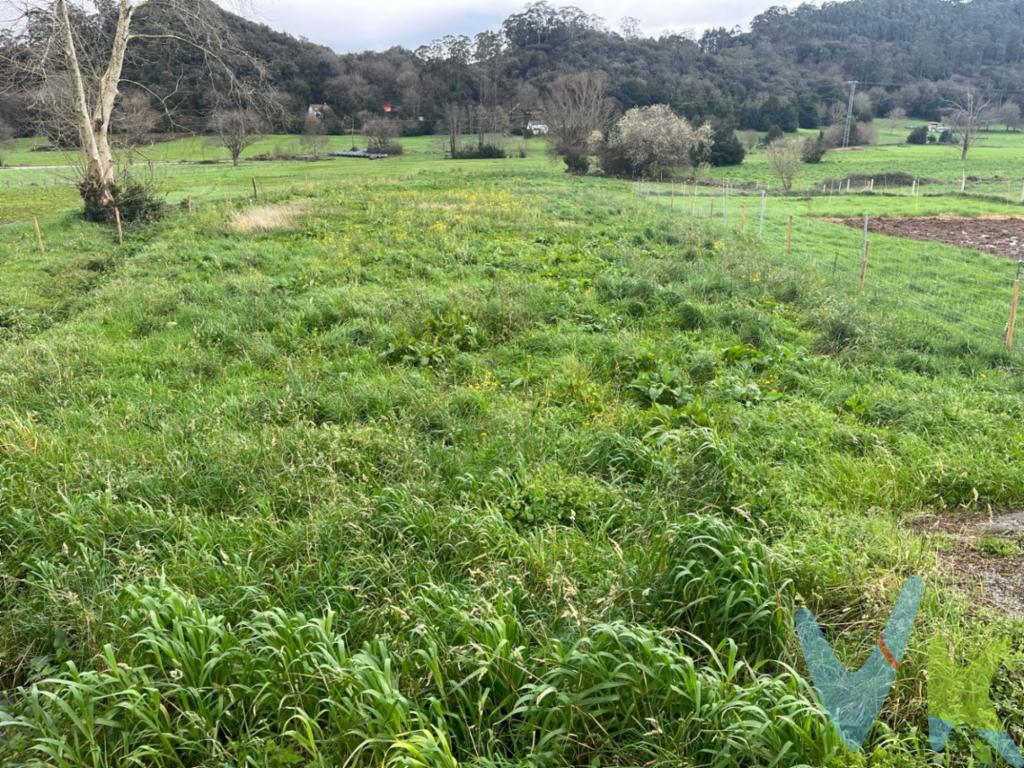 En Navajeda, Ayuntamiento de Entrambasaguas, disponemos de esta fantástica parcela urbana que cuenta con 2.543 m2. A un paso de todos los servicios como colegio, supermercado, centro médico, farmacia..  a tan sólo 5 minutos de la A8 y a 20 minutos de las playas de Somo y Loredo. La parcela cuenta con perfecto acceso y es apta para la construcción de una vivienda unifamiliar. Dispone de luz, agua y alcantarillado a pie de parcela. No espere más y solicite una visita en nuestras oficinas.