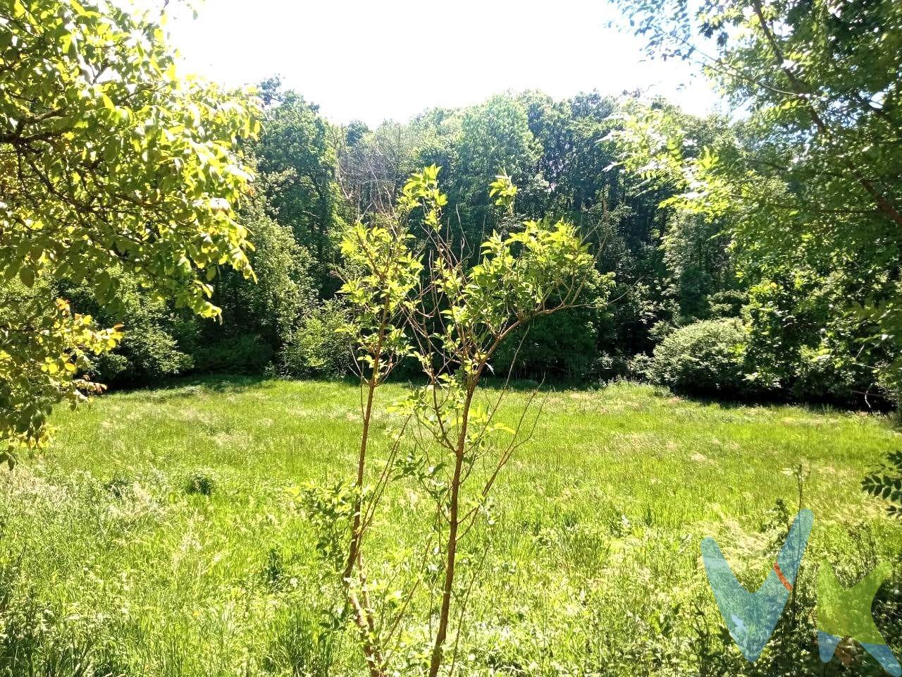Descubre este espectacular terreno llano y soleado, rodeado de árboles y acariciado por el murmullo de un arroyo. Este espacio cuenta con un proyecto que está a punto de ser aprobado en CROTU, lo que te permitirá dar vida a tu sueño más anhelado: construir la casa perfecta para ti o una encantadora segunda residencia. Su acceso es inmejorable, situándose a tan solo 14 minutos de Saron pero sintiéndote completamente desconectado del bullicio urbano. Aprovecha esta oportunidad única; colegios cercanos garantizan comodidad familiar y todos los servicios necesarios están al alcance. ¡No esperes más para transformar tus sueños en realidad! Por muy poquito,  puedes hacerte con este rincón idílico donde la naturaleza se encuentra contigo. Impuestos, gastos de Notaría y Registro no están incluidos en el precio.