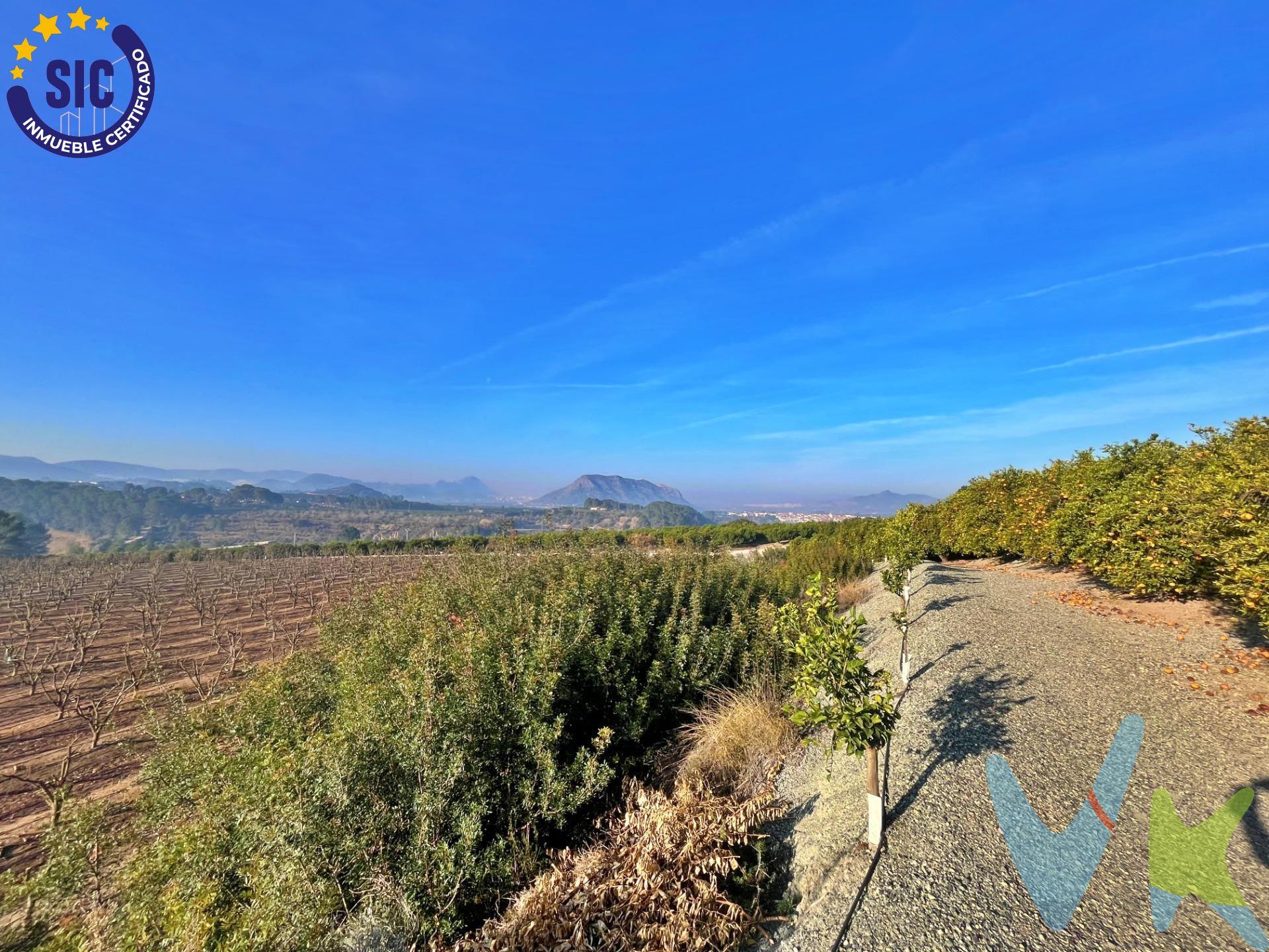 Presentamos una extraordinaria parcela rústica de 34,647 m2, situada en un entorno idílico con acceso asfaltado y fácilmente accesible para vehículos. Esta oportunidad única ofrece una variedad de características que la convierten en una inversión excepcional con la posibilidad de construir una finca en ella. Características destacadas:. Superficie: La parcela cuenta con una extensión de 34,647 metros cuadrados, proporcionando un amplio espacio para diversas actividades y proyectos. Acceso Asfaltado: El acceso pavimentado garantiza comodidad y facilidad para llegar a la propiedad, facilitando el transporte de mercancías y el tránsito. de vehículos. Caseta de Mantenimiento: Incluye una caseta de mantenimiento construida, proporcionando un espacio funcional para actividades relacionadas con la. gestión y cuidado de la parcela. Sistema de Riego: Equipada con un cabezal de riego y sistema de riego por goteo, la parcela garantiza una eficiente distribución de agua para mantener. la plantación en óptimas condiciones. Agua Abundante: Siempre hay agua disponible para riego, respaldado por 42 acciones del pozo, asegurando un suministro constante y confiable. Plantación en Producción: Disfrute de los frutos de una plantación de kakis y Naranjos (Hortolanes) en plena producción, ofreciendo la oportunidad de. generar ingresos sostenibles. Potencial Constructivo: Con la generosa extensión de la parcela, existe la posibilidad de construir una finca personalizada, adaptada a sus necesidades. y preferencias. Conexión a Servicios Públicos: La propiedad ofrece la posibilidad de conectar luz eléctrica y dispone de acceso a agua potable, brindando comodidades. modernas en un entorno rural. Vistas Privilegiadas: Disfrute de vistas panorámicas a la ciudad de Xátiva, creando un ambiente único y privilegiado que añade un valor excepcional a la. propiedad. Esta parcela rústica en Barxeta representa una oportunidad inigualable para aquellos que buscan un estilo de vida tranquilo, pero con todas las comodidades modernas. ¡No pierda la oportunidad de convertir este pedazo de paraíso en su hogar o proyecto agrícola! ¡Contáctenos hoy para más información y para programar una. visita!. La descripción del presente inmueble e imágenes tienen mero carácter informativo y en ningún caso carácter contractual, pudiendo ser modificados por la inmobiliaria comercializadora sin que ello implique responsabilidad alguna frente a terceros. En el precio de venta a público, esta propiedad NO incluye los gastos de adquisición (Notario, registro, gestión, honorarios, etc…).