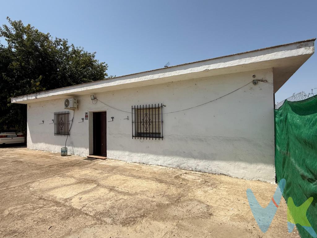 Casa amplia con zona de invitados en gran parcela de 3.300 m² . Esta propiedad combina amplitud, funcionalidad y múltiples posibilidades de uso, tanto para vivienda familiar como para quienes buscan espacio extra para invitados, ocio o almacenamiento. -	Ubicación:. Situada a tan solo 10 minutos de Utrera y 25 minutos de Sevilla, en una tranquila calle sin salida, lo que garantiza privacidad y poco tránsito. La finca dispone de cancela de acceso desde la calle y cuenta con dos puertas de entrada: una principal y otra lateral, facilitando la entrada y salida según las necesidades. -	Parcela de 3.300 m²:. 	•	Espacio muy amplio y versátil, con diferentes construcciones y zonas de uso independiente. 	•	Diversos puntos de agua distribuidos por la finca. Tiene dos pozos propios. 	•	Árboles frutales y zona de cultivo. 	•	Gallinero vallado. Interior de la vivienda principal:. 	•	Salón principal con chimenea y aire acondicionado. 	•	Cuatro dormitorios. 	•	Salita adicional ideal como despacho o zona de estar. 	•	Cocina muy amplia, con acceso a una habitación contigua que puede destinarse a comedor o gran despensa. 	•	Baño completo exterior, con acceso directo desde la piscina y desde el interior. 	•	Trastero interior junto a uno de los pozos. 	•	Buhardilla habilitada actualmente como gallinero. ZONA DESTINADA A INVITADOS. 	•	Trastero adicional. 	•	Zona de invitados independiente con:. 	•	Habitación con baño privado y aire acondicionado. 	•	Cocina independiente con aseo y despensa. 	•	Otra habitación extra para invitados. 	•	Construcción adicional sin terminar, con gran potencial para ampliar estancias o crear un nuevo espacio a medida.  Extras y potencial:. 	•	Gran parcela de 3.300 m², privada y funcional. 	•	Ubicación inmejorable, con acceso cómodo a Sevilla y Utrera. 	•	Ideal para familias numerosas, proyectos de turismo rural o quienes buscan combinar vivienda, ocio y naturaleza. Contáctenos para más información y programar una visita. De acuerdo con el Decreto 218/2005 de la Junta de Andalucía, de 11 de octubre, le informamos que los gastos de notaría, registro, ITP (Impuesto de Transmisiones Patrimoniales), honorarios de agencia y otros gastos relacionados con la compraventa no están incluidos en el precio.