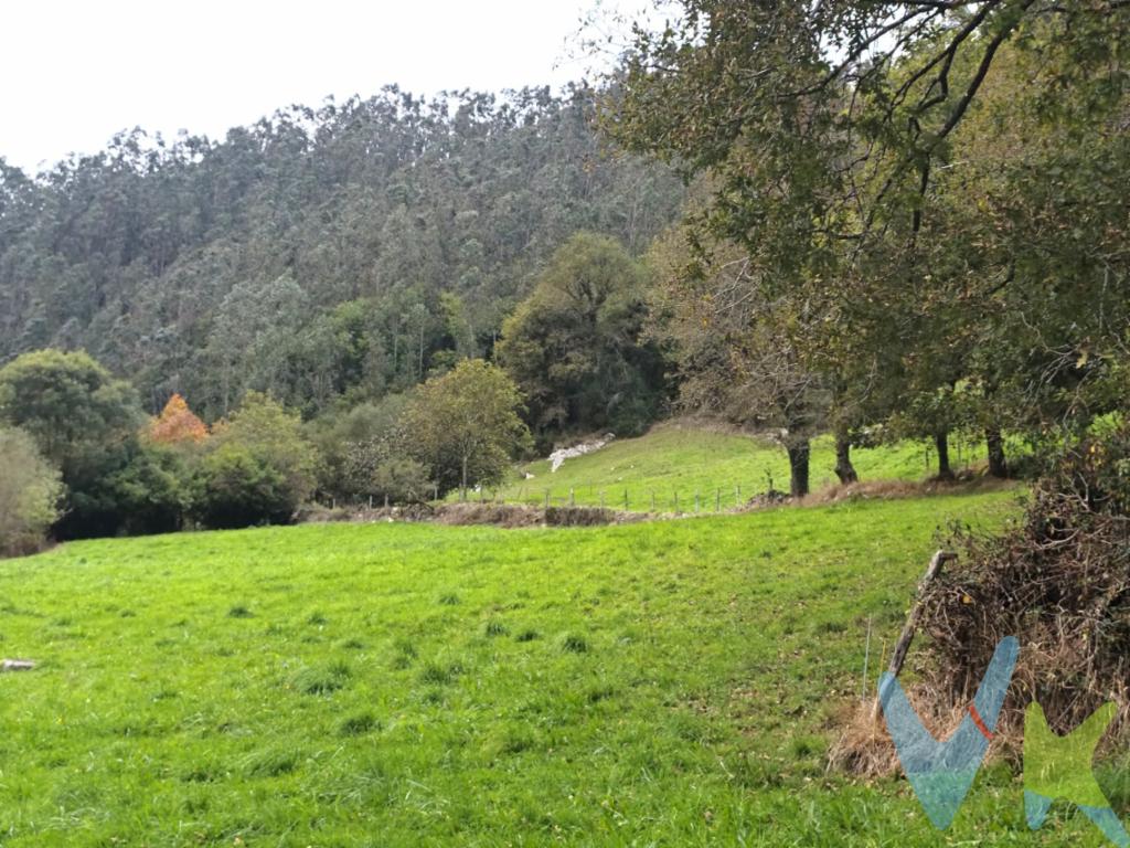 En el idílico pueblo de Roiz, situado en el valle de Valdáliga, siendo la capital de este municipio, y un entorno natural único se encuentra esta finca, ubicada en un espacio singular, con fantásticas vistas a todo el pueblo y en la ribera del río Escudo. El acceso es por una pista. Uso agrícola o ganadero.Se encuentra a pocos metros de la salida directa a la autovía A-8; a unos 8 minutos de Comillas y San Vicente de la Barquera, y de sus fantásticas playas, cerca de las increíbles Cuevas del Soplao, y a 45 minutos de Santander.No dudes en venir a visitarla!