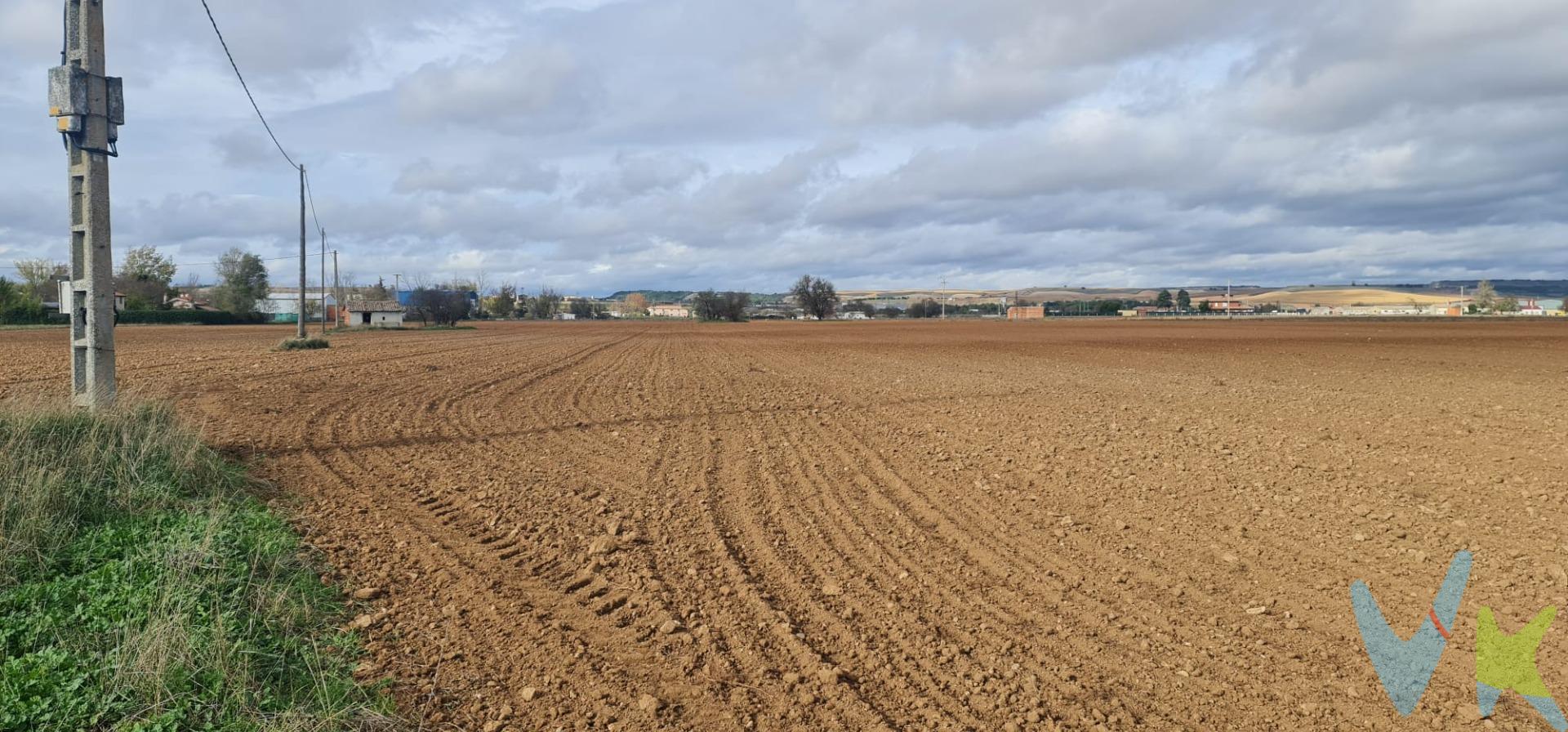 Bonita finca con casa (para reformar completamente), nave y piscina,. Cuenta con dos pozos y motor para regar.  De casi 6 hectáreas, lisa y  plana. Junto a un arroyo y el rio. Para cultivar cualquier tipo de producto, buena tierra, antes huerto de árboles frutales.