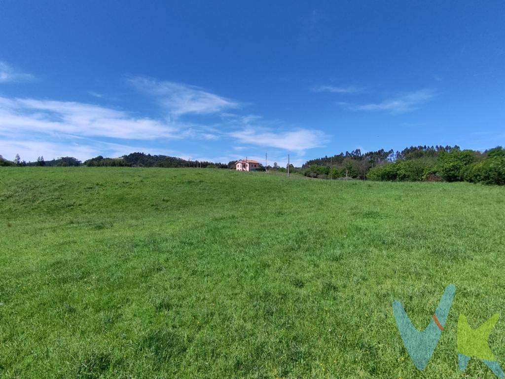 El precio total es de 150.000 EUR, a 50.000 EUR cada finca resultante.¡Magnífica oportunidad de inversión en Gijón!Presentamos esta excepcional finca edificable en Gijón, en la zona de Serín.Con una superficie edificable de 900 metros cuadrados, esta finca ofrece un amplio margen de opciones, pudiendo una única vivienda o parcelar para hacer tres viviendas de hasta 300 m2 cada una, dependiendo de tus preferencias y proyectos futuros. Si lo necesitas, te ayudamos con todos los trámites de la parcelación.Su excelente orientación garantiza una exposición solar óptima, beneficiando tanto el diseño de la vivienda como los espacios exteriores. El lugar IDEAL para aquellos que buscan construir su hogar en una zona bien comunicada. No pierdas la oportunidad de visitar esta finca edificable donde podrás visualizar su potencial. No dudes en contactar con nosotros para aclarar las dudas que puedas tener.El precio no incluye el Impuesto de Transmisiones Patrimoniales ni los gastos de Notaría y Registro.  