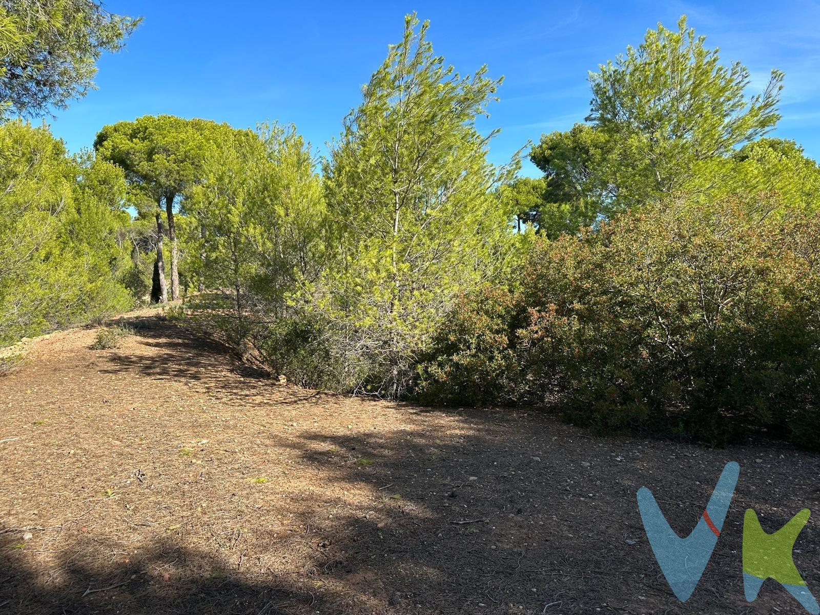 Terreno Rústico no Urbanizable en el Municipio de Albalat dels Tarongers, zona de Estivella con una superficie de 15.000 m²,  ideal para actividades agrícolas o de recreo. Con bellas vistas y entorno natural y al oeste la majestuosa Sierra Calderona. El valle del río Palancia atraviesa el territorio, aportando fertilidad y paisajes impresionantes. Perfecto para aquellos que buscan un espacio en plena naturaleza, con la tranquilidad y belleza que ofrece esta región. Para más información y visitas, por favor, contacte con nosotros. El precio no incluye honorarios de agencia y gastos de compraventa. ¡No pierda la oportunidad de hacerse con este magnífico terreno en un entorno natural incomparable!