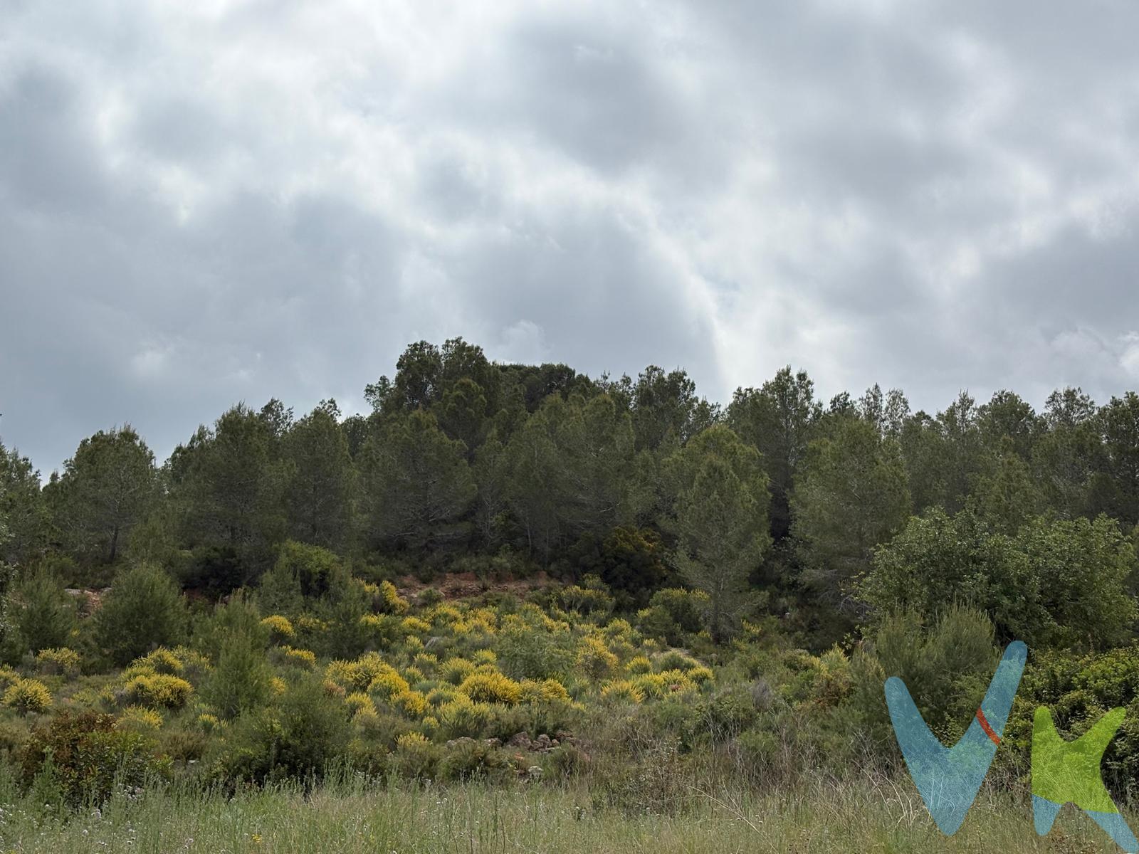 Se ofrece magnífico terreno rústico de 6.191 m² situado en Montserrat, en un entorno tranquilo y rodeado de naturaleza, ideal para quienes buscan desconectar y disfrutar del aire libre a pocos minutos del núcleo urbano. Una parcela perfecta para uso agrícola, recreativo o simplemente como espacio privado donde pasar fines de semana, cultivar, instalar una zona de descanso o disfrutar de reuniones familiares en plena tranquilidad. Su amplitud y entorno natural convierten este terreno en una excelente oportunidad para quienes valoran la privacidad, el contacto con la naturaleza y la tranquilidad que ofrece la vida en el campo. Zona con buen acceso y mucho encanto, ideal para disfrutar del entorno rural y escapar del estrés diario. INFORMACIÓN LEGAL AL CONSUMIDOR:. El precio indicado no incluye impuestos ni gastos derivados de la compraventa. Gastos a cargo del comprador:. • Impuesto de Transmisiones Patrimoniales (ITP): En segundas transmisiones, el tipo general vigente en la Comunitat Valenciana es del 10% sobre la base imponible, que será el mayor valor entre el precio de compraventa, el valor declarado o el valor de referencia catastral, pudiendo aplicarse tipos reducidos según las circunstancias del comprador. • Honorarios de intermediación inmobiliaria: 4% del precio final de venta + IVA (21%), a cargo del comprador. No incluidos en el precio de venta. • Notaría y Registro de la Propiedad: Los aranceles son oficiales y variables en función del precio y características de la operación. A título orientativo, entre 600 € y 1.000 €. Los gastos se distribuirán conforme a la normativa vigente, salvo pacto en contrario. Las condiciones pueden variar en función de las circunstancias personales y del régimen fiscal aplicable. Otros gastos:. • Gastos de financiación: Tasación, comisiones y condiciones bancarias según la entidad elegida por el comprador. • Gestoría: Servicio opcional, con costes variables en función del proveedor. • Podrán existir otros gastos inherentes a la formalización de la compraventa que correspondan al comprador según normativa vigente. El vendedor asumirá los gastos que legalmente le correspondan, salvo pacto en contrario. El inmueble no se encuentra sujeto, a fecha de publicación, a limitaciones de precio derivadas de normativa de zonas de mercado residencial tensionado. Se facilitará al cliente información detallada y personalizada de todos los costes asociados a la operación, así como la documentación relativa al inmueble, disponible en la sede física de la agencia - Av. Blasco Ibáñez 5 Bajo, 46970, Alaquàs (Valencia) y/o en el medio electrónico habilitado – www.inmueblesvalencianos.net. La agencia actúa exclusivamente como intermediaria en la operación. Cualquier compraventa queda sujeta a la aceptación expresa del vendedor y a la formalización del correspondiente contrato. El presente anuncio tiene carácter meramente informativo y no contractual, pudiendo estar sujeto a errores, cambios o actualizaciones.  . La venta de esta vivienda se gestiona mediante contrato de EXCLUSIVA COMPARTIDA por lo que se trabaja con cerca de 400 Inmobiliarias. 