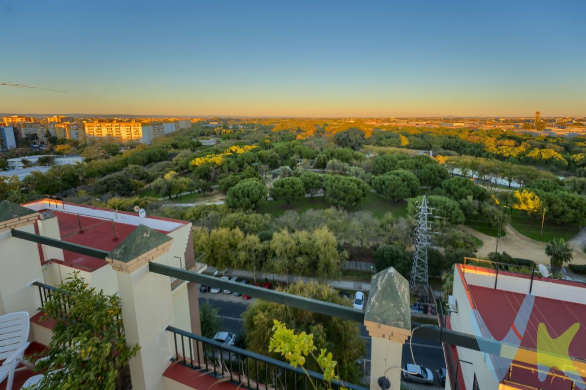 Vendo mi vivienda con vistas al Parque de Miraflores, un lugar donde he sido muy feliz y que ahora busca nuevos propietarios que la disfruten tanto como yo.

Todos los días he despertado con la tranquilidad y el verde del parque justo frente a mis ventanas, un privilegio difícil de encontrar en la ciudad. Esa sensación de calma y amplitud es, sin duda, uno de los mayores encantos de esta casa.

La vivienda cuenta con 3 habitaciones muy cómodas y luminosas, perfectas para familia, despacho o invitados. También dispone de 2 cuartos de baño completos, prácticos y bien distribuidos.
La cocina está completamente reformada, pensada para el día a día, funcional y moderna, lista para entrar a vivir sin preocuparte por nada.

Es un hogar acogedor, cuidado con cariño, y que siempre ha tenido una luz especial.
Si buscas un piso bien ubicado, amplio y con unas vistas que enamoran, creo sinceramente que este puede ser tu próximo hogar.

Informamos que el precio de venta no incluye: Honorarios de la agencia inmobiliaria,
impuestos (el Impuesto de Transmisiones Patrimoniales, IVA o AJD, en su caso),
otros gastos de la compraventa (gastos de registro de la Propiedad, Notaría, gestión
ni de posible financiación).
Documento D. I. A. a disposición del consumidor según Decreto 218/2005 Junta de
Andalucía.

