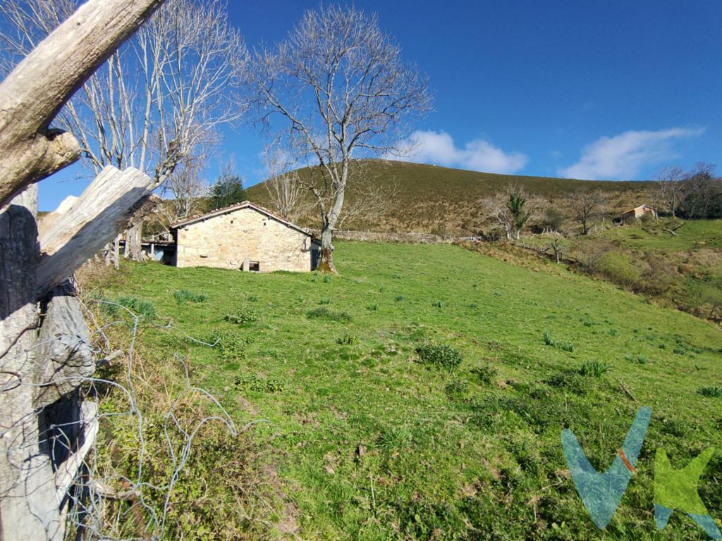 Finca rústica en la montaña de Laviana, naturaleza y tranquilidad

Se vende preciosa finca de 4.082 m² situada en plena montaña de Laviana, en un entorno natural privilegiado. Su ubicación es especialmente atractiva, ya que se encuentra muy cerca del Parque Natural de Redes, sin estar dentro del espacio protegido, lo que permite disfrutar de la naturaleza con mayor libertad y comodidad.

La finca cuenta con acceso para todoterreno, manteniendo ese equilibrio perfecto entre accesibilidad y privacidad. En su interior hay una acogedora cabaña, ideal para pasar fines de semana, desconectar y disfrutar del silencio, el aire puro y el paisaje.

Las vistas son abiertas y especialmente bonitas, de esas que invitan a parar, respirar y quedarse. Es un lugar con encanto, rodeado de naturaleza, perfecto para quienes valoran la calma y los espacios auténticos.

Características principales:

Superficie de 4.082 m²
Cabaña en la finca
Acceso en todoterreno
Vistas despejadas
Entorno natural privilegiado, muy próximo al Parque Natural de Redes sin estar dentro

Una oportunidad para tener un rincón propio en la montaña, donde el tiempo parece ir más despacio.