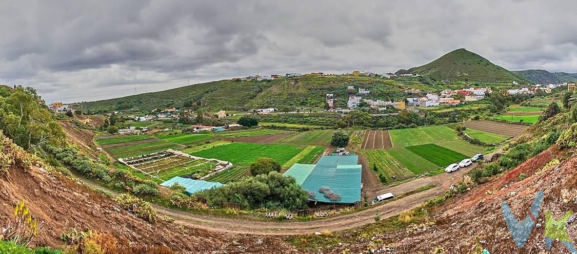Les presento esta magnífica finca de 66.899m2 según su último certificado topográfico y escrituras perfectamente registradas. Pocas fincas rústicas se ofrecen a la venta que estén en plena producción, teniendo acceso fácil a agua de riego, servicios y comunicaciones. Consta de 5 cadenas completamente llanas, muy bien delimitadas, valladas, con alta en suministros de luz, agua y acceso agua de riego de la zona. La finca rústica destinada a agricultura es según catastro unos 28891m2, siendo el resto pastizales, dispone también de zonas de almacenamiento, pista de acceso y un estanque con capacidad para 60h de agua, a 20l/s. Está situada en Marzagán, a tan solo 5 minutos del Mercalaspalmas, 15 minutos de Las Palmas y 10 minutos de Telde, estando muy bien comunicada a 5 minutos de la GC-1. La finca tiene escriturada además una vivienda de 204,54m2, con dos garajes techados de 16,61m2 y 17,29m2, una zona de jardín a la entrada de unos 100m2 y un porche cubierto de 13,94m2. Esta vivienda necesita una reforma integral, pudiendo hacer un bonito chalet independiente con vistas a Marzagán y a Bandama, consta de salón, cocina, 3 habitaciones muy amplias que podrá distribuir a su gusto, además de un baño. La casa es de construcción antigua con techos altos, una parte con tejado a dos aguas, muros de piedra anchos que podrá dejarlos a piedra vista quedando un precioso chalet rústico. Tiene agua y luz dadas de alta, facilitando eso cualquier posible reforma. La construcción del edificio debido a su antigüedad es susceptible de necesitar reparaciones o reformas desconocidas por parte del propietario que puedan afectar a su uso o habitabilidad futura. . Dentro de la finca y muy cerca de la casa, hay escriturados otros 297,1 m2 en cuatro construcciones escrituradas como graneros y alpendres que lindan entre si, que con la correspondiente reforma y cambio de uso podrían convertirse en otra vivienda, se distinguen en ellos hasta 6 estancias, zona de aparcamiento y jardines. Todas estas construcciones se encuentran en suelo Rústico de Asentamiento Rural, con lo cual se pueden rehabilitar. Es una finca con un gran potencial, ya que su extensión permite segregaciones y agrupaciones con las construcciones existentes, pudiendo crear viviendas rurales para su venta o explotación, restaurante ecológico aprovechando los productos propios o sencillamente siguiendo con la explotación agrícola. Los gastos de impuestos, registro, notaría y cualquier otro derivados de la venta no están incluidos en el precio PVP. . 