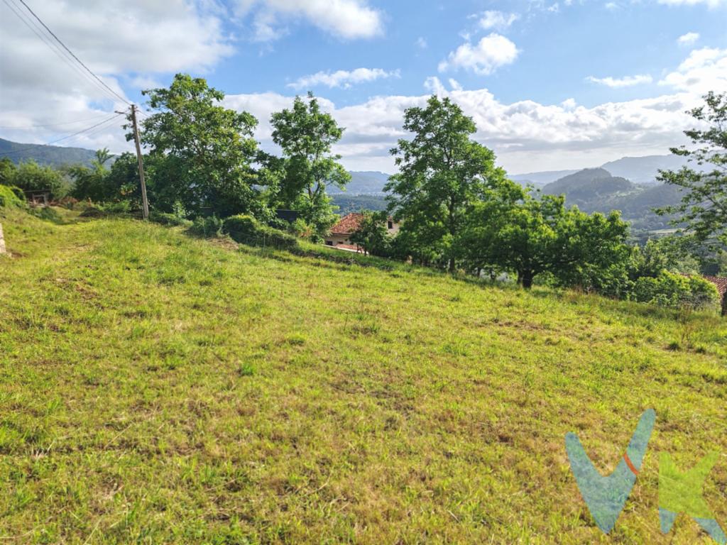 Exclusiva Finca Edificable en Venta en la Prestigiosa Zona de Puelles, Villaviciosa.Oportunidad única para adquirir una finca de ensueño ubicada en la solicitada localidad de Villaviciosa, específicamente en la pintoresca zona de Puelles. Esta excepcional propiedad está diseñada para quienes buscan invertir en un entorno natural sin perder las comodidades modernas. Situada en un enclave estratégico, la finca se presenta como un lienzo perfecto para construir la casa de sus sueños o como una inversión asegurada en un área de creciente demanda.Ubicada en la impresionante región de Puelles, esta finca se destaca por su accesibilidad, lo que garantiza un desarrollo sin complicaciones para cualquier proyecto inmobiliario que usted desee emprender. La finca es completamente edificable, permitiendo una flexibilidad total en los diseños arquitectónicos y la planificación del espacio, dando rienda suelta a su imaginación y creatividad.Muy próxima al Monasterio de Valdediós. A tan solo15 minutos en coche de Villaviciosa. A 25 minutos de Gijón. A 30 de Oviedo. Finca de 680m2. Edificabilidad de 300m2.Dispone de agua y luz en la propia finca.La estratégica ubicación en Villaviciosa asegura no solo un entorno natural inigualable, sino también la facilidad de acceso a todos los servicios esenciales que pueda necesitar. Puelles se presenta como un vecindario idílico, enclavado en un entorno donde la vida rural convive de manera armoniosa con las comodidades contemporáneas, ofreciendo lo mejor de ambos mundos. Las comunicaciones son fluidas, lo que hace su conexión a los principales centros urbanos un trámite cómodo y eficiente, ideal para aquellos que deben equilibrar la vida de ciudad con la tranquilidad del campo.La adquisición de esta finca es una decisión acertada para quienes desean un lugar encantador bien conectado dentro de Villaviciosa, con un potencial edificable que ofrece una multitud de posibilidades. Les animamos a realizar una visita para apreciar personalmente la belleza y el potencial ilimitado que esta propiedad tiene para ofrecer. Nos encontramos a su disposición para concertar una visita guiada y resolver cualquier consulta que pudieran tener, asegurando que cada detalle de esta propiedad les será mostrado con gran profesionalismo y dedicación.Esperamos poder asistirles en esta emocionante inversión y ayudarles a hacer realidad el sueño de poseer un pedacito de paraíso en Villaviciosa. No pierda la oportunidad de ser el propietario de una finca que promete no solo ser un hogar, sino una experiencia de vida rodeada de belleza y tranquilidad sin igual. 