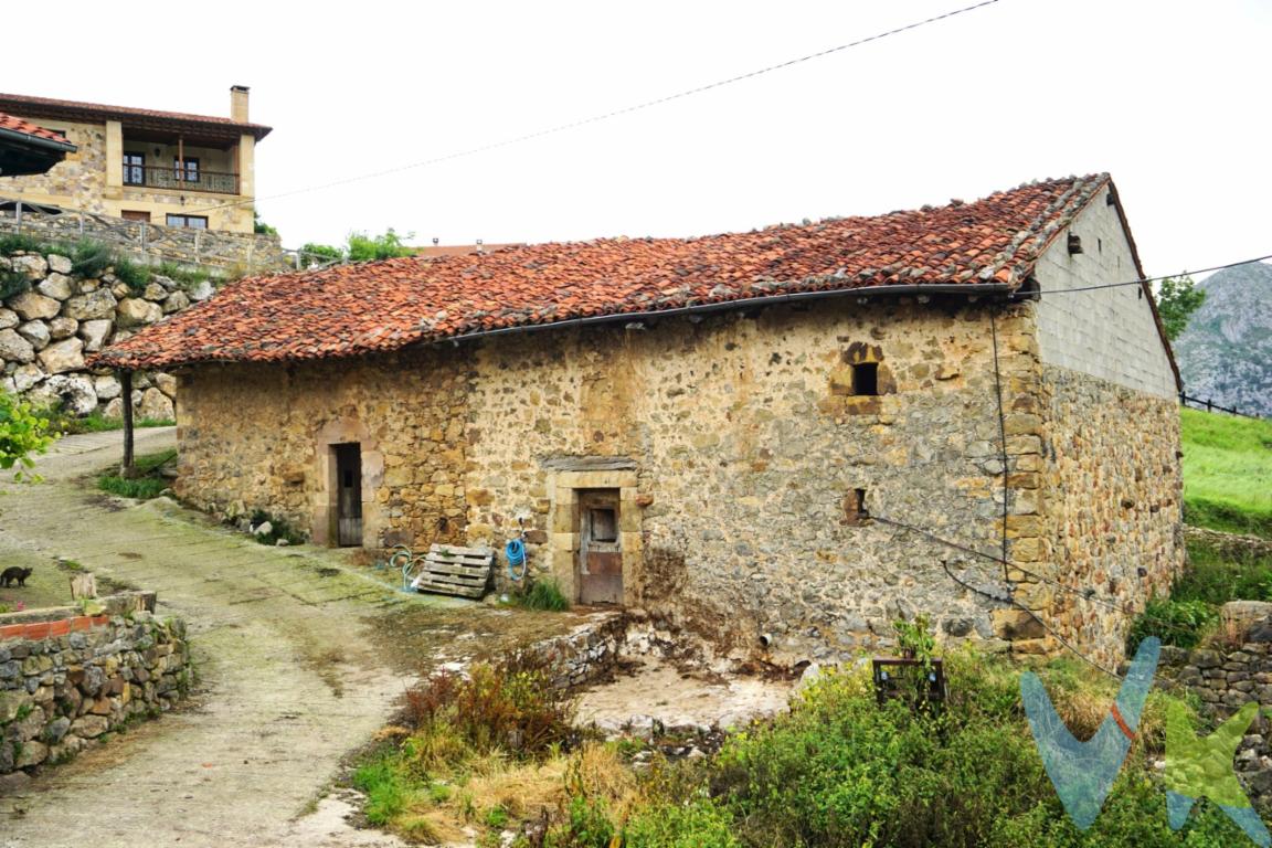 Se vende cuadra pareada en Cires, Lamasón. Consta de dos plantas y conserva su distribución original. De grandes dimensiones, para hacer reforma integral y cambio de uso a vivienda.Rodeado de vistas privilegiadas, este magnifico enclave es la oportunidad para adquirir una propiedad donde el relax y la vida lenta son parte del día a día.Un lugar para perderse y disfrutar de la naturaleza en toda su esencia, el sitio perfecto para desconectar.Está situado a 12 km de La Hermida, a 16 km de las Cuevas del Soplao, y a 35 minutos de las playas de Pechón y Berellín. Si tu proyecto de vida o inversión se alinea con esa propiedad, llámanos para concertar una visita.