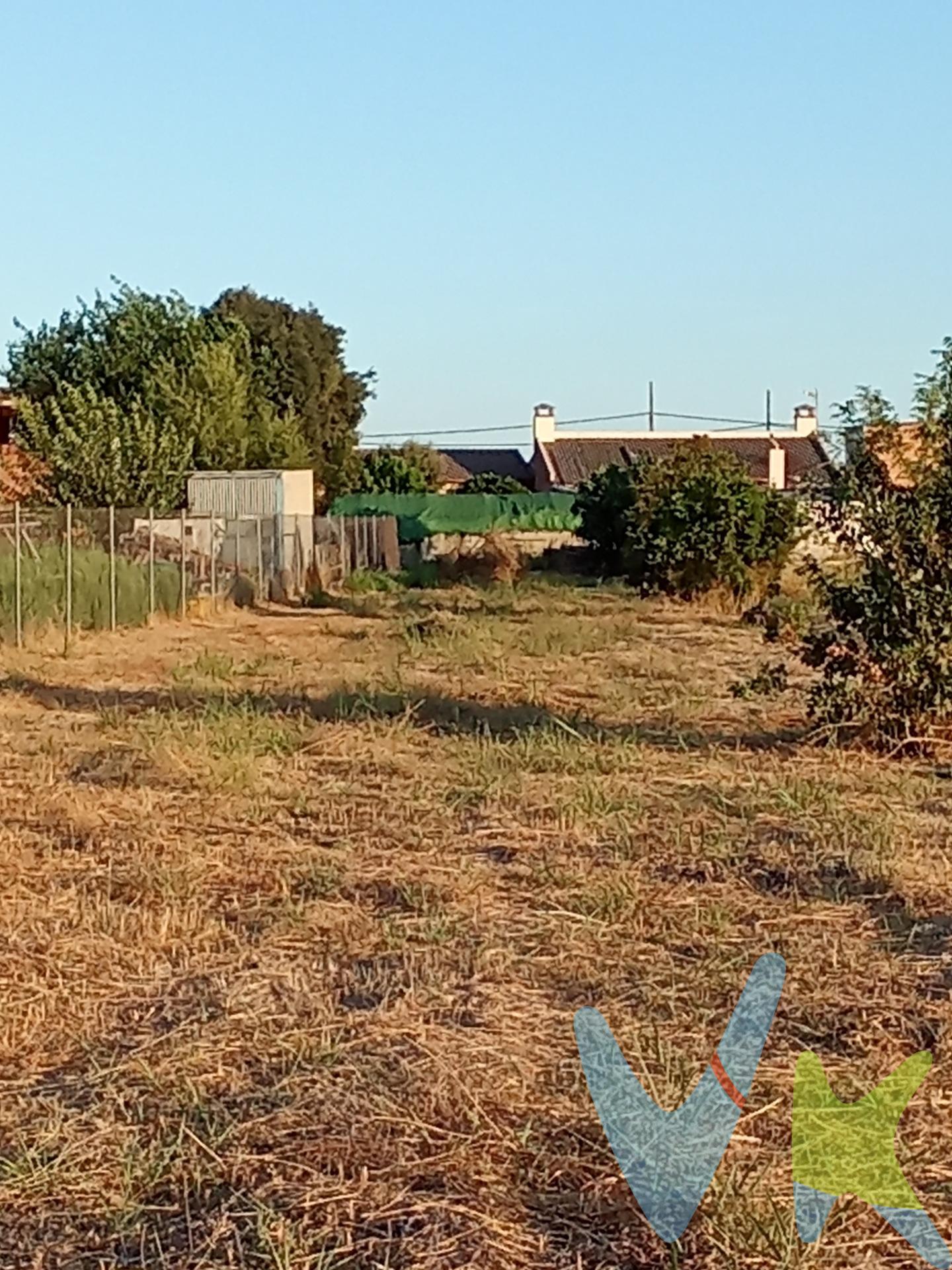 1/2 Fanega de tierra (3.220 m. ) rustica de regadío. Titular de la asociación de regantes del Guadalmellato. Tiene árboles frutales: higuera, parra grande, naranjos, mandarino, manzano, almendros, 2 olivos. Mucha agua. No tiene luz en alta. INFORMACIÓN RELEVANTE. Para cumplir con la normativa vigente tenemos a disposición del cliente el Documento Informativo Abreviado (DIA) así como la información mínima solicitada en el artículo 31 de la Ley 12/2023, de 24 de mayo, por el Derecho a la Vivienda. Respecto al precio de venta indicado, éste, no tiene caducidad, y puede ser alterados sin previo aviso. En caso de venta, el precio corresponde únicamente al inmueble, sin incluir mobiliario, salvo se indique lo contrario, y de forma expresa. En cumplimiento de las obligaciones de información previstas en la Ley 10/2025, de 28 de diciembre, de servicios de atención a la clientela y transparencia, así como en la normativa sectorial vigente, se hace constar que el precio indicado NO INCLUYE los gastos e impuestos inherentes a la adquisición, los cuales se desglosan a continuación:. • Impuesto sobre Transmisiones Patrimoniales (ITP)(*): Se aplicará el tipo impositivo vigente en la Comunidad Autónoma de Andalucía (generalmente el 7%), sin perjuicio de tipos reducidos del 3,5%, 1,2% o 1% aplicables según las circunstancias personales del comprador o las características del inmueble. El impuesto se devenga sobre el Valor de Referencia de Catastro o el precio de venta, aquel que resulte superior. • Honorarios Agencia del comprador: 2,5 % del precio final de venta más el 21% de IVA (con un mínimo de 3.500€ más el 21% de IVA). • Gastos de Notaría: Los honorarios notariales se calcularán conforme al arancel oficial regulado en el Anexo I, del Real Decreto 1426/1989, de 17 de noviembre, por el que se aprueba el arancel Notarial. • Gastos de Registro: La inscripción en el Registro de la Propiedad se facturará según el arancel oficial establecido en el ANEXO I, del Real Decreto 1427/1989, de 17 de noviembre, por el que se aprueba el arancel Notarial. • Gastos de Gestión (Gestoría): Los honorarios por la tramitación administrativa, liquidación de impuestos e inscripción registral ascienden a unos 600€ aproximadamente (IVA inc.). 