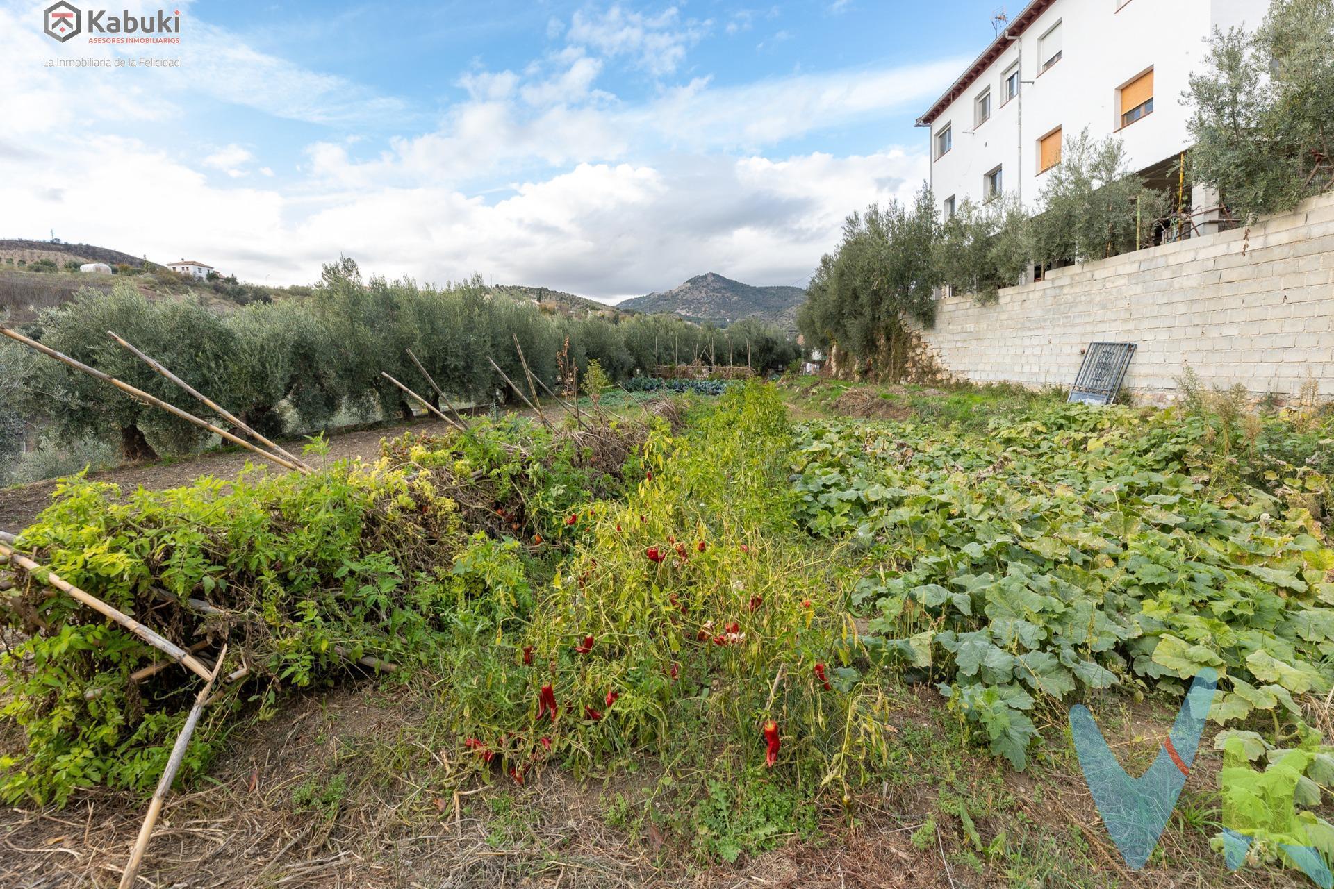 ¿Quieres construirte la casa que siempre has soñado en un precioso pueblo de montaña a menos de 15 minutos de Granada capital? Nosotros tenemos el lugar perfecto. Ponemos a la venta este terreno urbano con una superficie de 330 m², ubicado en una zona de las mejores zonas del pueblo con unas magníficas vistas a la montaña, ideal para una casa con una comunicación excelente por su cercanía al colegios, centros médico, farmacia, supermercados, parque,…ideal para una familia que esté buscando calidad de vida. El terreno es totalmente llano y tiene un sólido muro de contención ya construido. Además cuenta con un estanque de agua de 32.000 litros. Y está preparado para instalar luz y agua y facilitar  el desarrollo de cualquier proyecto. . Este terreno, además,  tiene de forma colindante otros 2 terrenos de las mismas dimensiones (se adjunta plano) por lo que la venta puede realizarse por tanto de los tres terrenos juntos o por separado, ofreciendo flexibilidad según las necesidades del comprador. Esta es una oportunidad de inversión única, con un precio de 100€/m2. ¡No deje pasar esta ocasión para adquirir un terreno con tantas ventajas y posibilidades. y diseñar la casa que siempre has soñado!. *** El PVP indicado no incluye impuestos ni gastos de Escritura. Honorarios de agencia no incluidos. *** Las superficies expresadas en esta página tienen carácter descriptivo y son aproximadas. Los precios pueden ser susceptibles de modificación sin previo aviso.