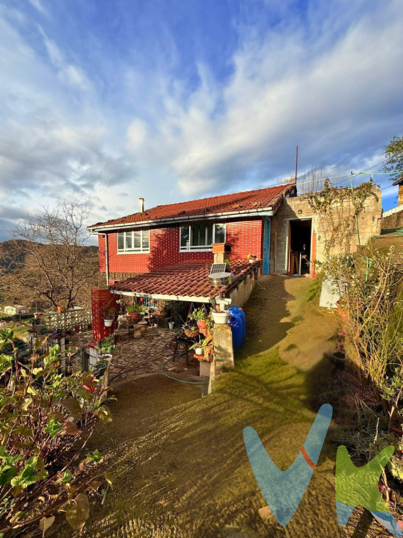 En la zona de Los Quintanales, en Santa Rosa (Mieres), se encuentra esta vivienda con 104 m² construidos, divididos en dos plantas, situada en un entorno tranquilo y rodeado de naturaleza. Aunque la casa necesita cierta actualización, se encuentra en perfecto estado para entrar a vivir.La planta baja alberga la cocina, un baño completo y un salón amplio y luminoso, desde el que se disfrutan vistas abiertas al entorno. En la planta alta se distribuyen tres habitaciones, un aseo y un corredor que puede utilizarse como zona de almacenaje o como espacio desde el que contemplar el paisaje.En el precio están incluidos los terrenos anexos y varias construcciones auxiliares: un gallinero, un tendejón utilizado como garaje, un trastero independiente, una edificación adicional para rehabilitar y otro espacio contiguo a la vivienda apto para uso como almacén.La propiedad cuenta con acceso privado, aunque actualmente es mejorable. Se encuentra a tan solo 15 minutos en coche de Mieres, lo que facilita los desplazamientos. La línea de autobuses pasa cerca, si bien es necesario caminar alrededor de 15 minutos para llegar a la parada.En cuanto a los servicios, el saneamiento es por alcantarillado y el suministro de agua es de traída. La vivienda dispone de una caldera de gasoil que actualmente no se encuentra en funcionamiento, aunque puede ser reparada. En su lugar, la calefacción se realiza mediante una estufa de pellets y el agua caliente mediante termo eléctrico.Una vivienda tranquila, funcional y con varias posibilidades de uso, tanto para residencia habitual como para disfrutar del entorno rural. No dudes en llamarnos y agendar tu visita.Impuestos, gastos de notaría y de registro no incluidos en el precio.