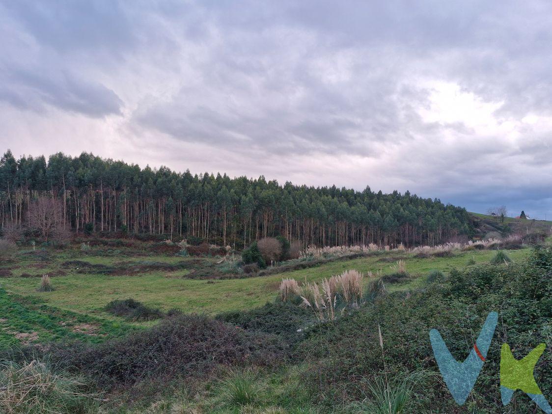 Finca rústica en Oruña de Piélagos. Oportunidad de Inversión en Oruña de Piélagos: Finca Mixta con Potencial Residencial. Presentamos una excepcional propiedad situada en el paraje de "La Cueva", en la pedanía de Oruña, municipio de Piélagos (Cantabria). Esta finca destaca por su ubicación estratégica, combinando la tranquilidad del entorno rural con una excelente conectividad y posibilidades de desarrollo residencial bajo la normativa actual. 1. Características Principales. •	Superficie Registral: 12.641 m² (según Registro de la Propiedad). •	Superficie Catastral: 11.987 m². •	Ubicación: Paraje "La Cueva", Polígono 604, Parcela 52. •	Uso Actual: Agrario, dedicado principalmente a prados o praderas. •	Estado de Cargas: La finca se encuentra libre de cargas registradas. 2. Calificación Urbanística y Edificabilidad. La finca presenta una doble naturaleza técnica que permite diversas posibilidades de actuación:. A. Área de Núcleo Rural (N.R.). Parte de la finca se encuentra bajo la ordenanza de Agrupación de Edificios N.R. del Plan General de Piélagos. •	Parcela mínima: 1.000 m². •	Edificabilidad: $0,20 m²/m²$. •	Ocupación máxima: 15%. •	Distancia a linderos: 3 metros para viviendas. B. Suelo Rústico de Protección Ordinaria. Bajo la Ley 5/2022 (LOTUCA), la parte rústica permite la construcción de viviendas unifamiliares aisladas bajo condiciones específicas:. •	Proximidad: Posibilidad de edificar si la mayor parte de la superficie está a menos de 200 metros de suelo urbano. •	Sostenibilidad: Las nuevas construcciones deben ser de consumo casi nulo y autosuficientes energéticamente al menos en un 60%. •	Integración: Respeto a la tipología arquitectónica tradicional y materiales acordes al paisaje rural. 3. Entorno y Accesos. La propiedad cuenta con un excelente acceso rodado, lindando al Norte y Sur con caminos. Su configuración actual como pradería de secano y su orografía la hacen ideal tanto para un proyecto residencial exclusivo como para actividades vinculadas al ocio, turismo rural o actividades artesanales. Impuestos y gastos legales no incluidos en el precio.