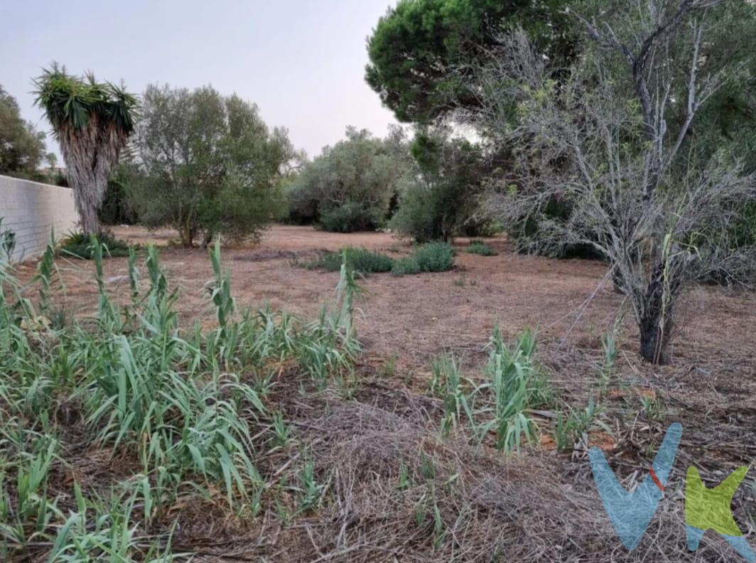 Estupenda PARTICIPACION INDIVISA ubicada en la zona de miguel guerra, a tan solo 8 km de la playa de la barrosa y a la vez con toda la comodidad de tener a la mano todo los servicios de la ciudad.

La parcela cuenta con 810 metros cuadrados.

 Visitar sin compromiso, te va a encantar la ubicación.

 El precio de compra no incluye muebles, enseres, vehículos ni electrodomésticos. Disponemos del Documento Informativo Abreviado de la propiedad (Según Decreto 218/2005, del 11 de Octubre) y de Seguro de Caución, para la protección del dinero entregado como señal para la Reserva de una vivienda.
En cumplimiento del Decreto de la Junta de Andalucía 218/2015 de 11 de Octubre, se informa al cliente que los gastos notariales, registrales, ITP, honorarios de la Agencia y otros gastos inherentes a la compraventa no están incluidos en el precio.



