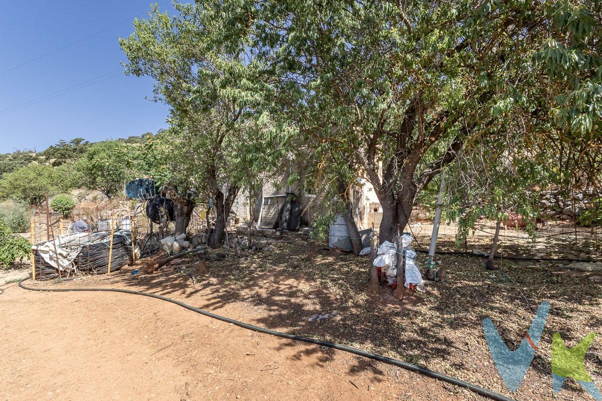 Oportunidad en Montefrío (Granada): dos fincas rústicas con mucho potencial. Se venden dos fincas rústicas situadas a tan solo 4 km del bonito pueblo de Montefrío, con excelente acceso por carril y muy próximas entre sí. 🔹 Finca 1 – 21.000 m² con olivar productivo. Cuenta con unos 400 olivos en plena producción. El acceso es cómodo y directo desde el pueblo, ideal tanto para explotación agrícola como inversión rural. 💰 Precio: 80.000 €. 🔹 Finca 2 – 60.000 m² con múltiples posibilidades. Dispone de unos 20.000 m² de tierra cultivable, unos 40.000 m² de monte, y aproximadamente 40 olivos. Incluye una casa de aperos que podría adaptarse como vivienda en el futuro, un pozo legalizado y suministro eléctrico trifásico y monofásico. Todo el perímetro está cercado y el acceso es excelente. 💰 Precio: 160.000 €. 👉 Ambas fincas están muy próximas y pueden adquirirse conjuntamente por 240.000 €. Una excelente inversión para uso agrícola, recreativo o como finca rural con vivienda. 👉  Una excelente inversión para uso agrícola o recreativo. Llámenos y le ampliaremos información sin compromiso. . Ref. N345. * El PVP indicado no incluye impuestos ni gastos de Escritura. * Honorarios agencia no incluidos. * Las superficies expresadas en esta página tienen carácter descriptivo y son aproximadas. * Los precios pueden ser susceptibles de modificación sin previo aviso. * Esta propiedad se vende SIN muebles.