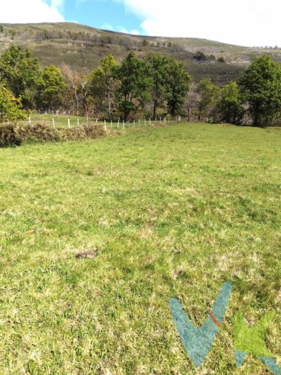 ¿Buscas un lugar donde desconectar, rodearte de naturaleza y disfrutar del aire libre en San Sebastián de Garabandal?Esta preciosa finca rústica llana, con más de 700m², ubicada en un entorno natural privilegiado, es perfecta para quienes buscan un refugio en plena naturaleza, los amantes del relax, la acampada y la vida al aire libre. ya que ofrece un espacio ideal para instalar tiendas de campaña, disfrutar de una jornada de picnic bajo la sombra de los árboles o quién sabe si cultivar un huerto ecológico.La finca cuenta con vistas completamente despejadas hacia un hermoso entorno y con una bonita vista panorámica de los famosos pinos de Garabandal, lo que la convierte en un lugar perfecto para disfrutar de la naturaleza en su máximo esplendor. Además, al estar situada en una zona extremadamente tranquila, ofrece un ambiente de paz incomparable, acompañado por el relajante sonido del río de fondo.El acceso a la finca se realiza a través de servidumbre de paso, permitiendo el acceso exclusivo de vehículos destinados a actividades agrícolas, lo que garantiza la privacidad y el respeto por el entorno natural.Una opción excelente para quienes desean desconectar del ruido urbano, desarrollar proyectos agrícolas o simplemente disfrutar de la tranquilidad que ofrece esta joya rústica.¡No deje pasar esta oportunidad única de conectar con la naturaleza!
