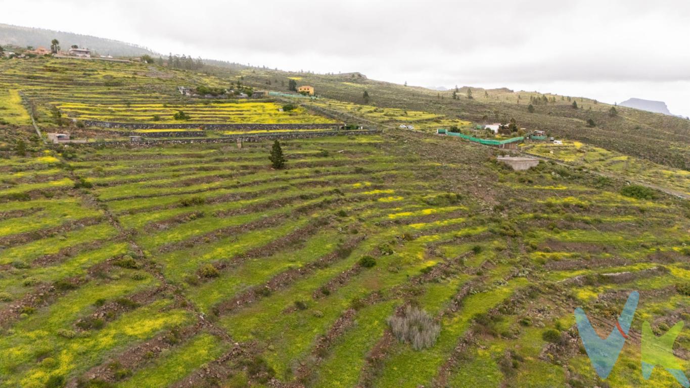¡Oportunidad única en Adeje! Se vende espectacular terreno rústico de 3,203 m² en la zona de Las Moraditas, en Tenerife. Este hermoso espacio ofrece vistas impresionantes al mar y al majestuoso Teide, creando un entorno perfecto para escapar del bullicio y conectar con la naturaleza. Ideal para quienes buscan tranquilidad, privacidad y un lugar privilegiado para disfrute personal. Disfruta de un entorno muy bello, rodeado de naturaleza y paisajes únicos, con la posibilidad de apreciar vistas inolvidables y respirar aire puro. ¡No dejes pasar esta oportunidad de convertir este rincón mágico en tu oasis en Tenerife!                                                                 . ¿Interesado? * No dudes en contactar para más información o para programar una visita. ¡Tu futuro empieza aquí!. Datos meramente informativos sin valor contractual. Impuestos y gastos de transmisión no incluidos en el precio de venta.