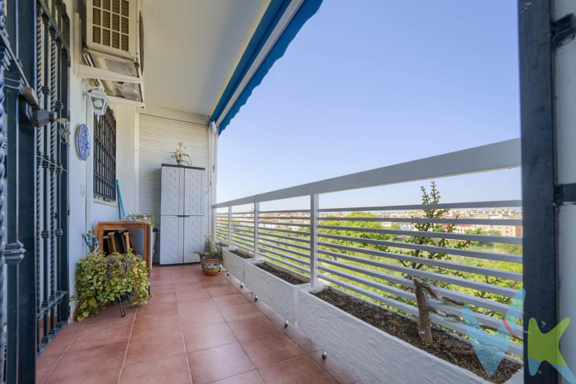 Oportunidad en el centro de Sevilla, Zona Arjona.

Precio : 490 k €
Descubre este amplio piso de 100 m²  en 5 Planta con ascensor, que se encuentra en una ubicación privilegiada junto al río Guadalquivir y a pocos pasos de Triana y el casco histórico. La vivienda cuenta con:



- Cuatro habitaciones
-  Salón independiente.
- Cocina equipada con zona de despensa.
- Dos baños completos con placa ducha
- Acogedor recibidor
- Amplia terraza perfecta para disfrutar del aire libre.
- Quinta planta con ascensor
-  En perfecto estado de habitabilidad
- Garaje

- Ubicación inmejorable:
A un paso de Triana y casco histórico, con rápido acceso a cualquier punto de la ciudad gracias a sus buenas conexiones.
Rodeado de cultura, ocio, gastronomía, supermercados, colegios y centros de salud así como muy bien conectado a los Hospitales Virgen del Rocío y Virgen Macarena.

 Ideal para vivir en el corazón de Sevilla, en un barrio con vida propia, ambiente cosmopolita y la comodidad de tenerlo todo cerca.

Y con tu plaza de garaje asegurada. 

No pierdas esta oportunidad de disfrutar de un piso amplio, luminoso y con una ubicación única en Sevilla.

Contáctenos para más información y programar una visita.



De conformidad con el Decreto 218/2005 de la Junta de Andalucía, de 11 de octubre, le informamos que los gastos notariales, registrales, ITP (Impuesto de Transmisiones Patrimoniales), los honorarios de la agencia y otros gastos relacionados con la compraventa no están incluidos en el precio.
