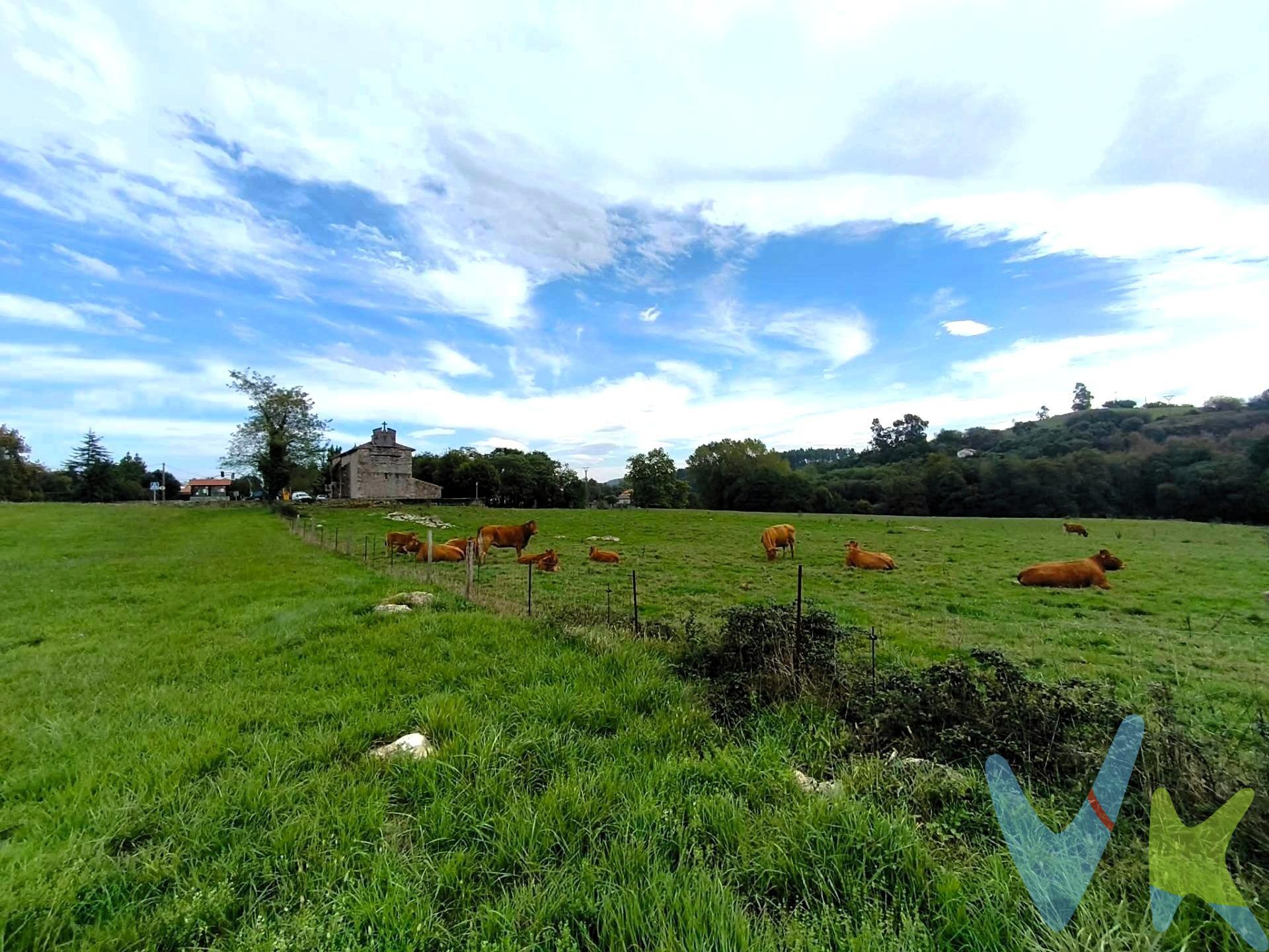 Terreno urbano de 16.018 m², perteneciente a una Unidad de Actuación del Ayuntamiento de Santillana del Mar y situados en el pueblo de Viveda (Santillana del Mar). La parcela linda con más fincas, también con otras en las mismas condiciones urbanísticas, con el arroyo de Corrino y con la Iglesia de El Salvador. Tiene una ligera pendiente de norte a sur, lo que facilita la luminosidad y las vistas despejadas. El pueblo de Viveda está ubicado entre Torrelavega y Suances. También pertenece al "Camino de Santiago del Norte": ruta de peregrinaje que recorre 820 kms. entre Irún y Santiago de Compostela. En su etapa decimotercera, entre Santander y Santillana del Mar, podemos disfrutar de nuestra localidad. Impuestos, gastos de Notaría y Registro no están incluidos en el precio.