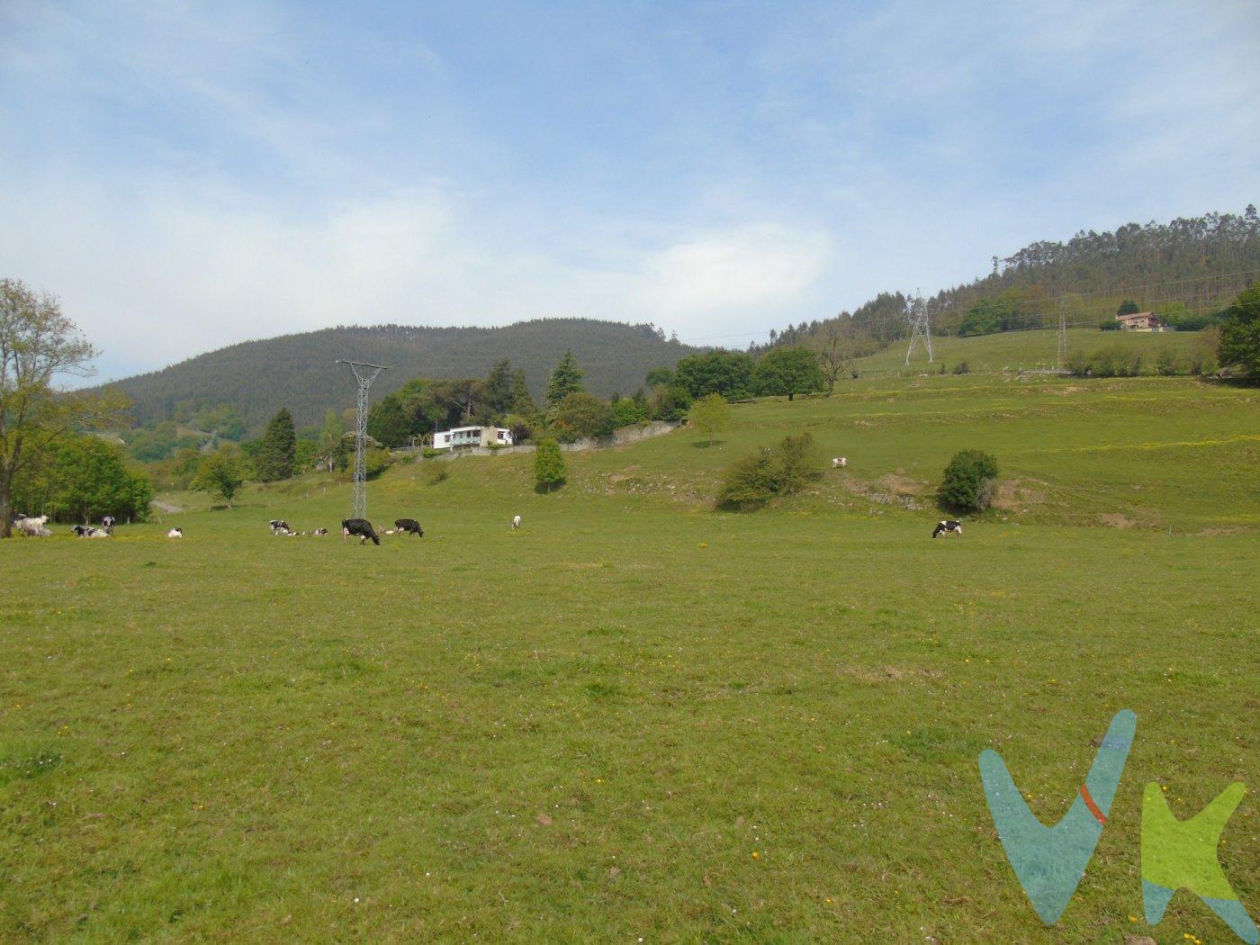 ¡No dejes pasar esta oportunidad única en Santa María de Cayón! Este terreno urbano en la zona de La Penilla te ofrece la posibilidad de construir una o varias viviendas unifamiliares, con acceso perfecto desde la carretera y una ubicación soleada. Además, cuenta con todos los servicios junto a la finca y se encuentra a un paso de la autovía, brindándote grandes vistas al valle. Con una superficie total de 1.568 m², este terreno es ideal para aquellas familias que buscan adquirir una parcela a un precio muy interesante. Con agua, luz y categoría urbana, esta propiedad es perfecta para construir el hogar de tus sueños. ¡No dejes pasar esta oportunidad y contáctanos hoy mismo para más información! . Los impuestos, gastos de notaría y registro no están incluidos en el precio.